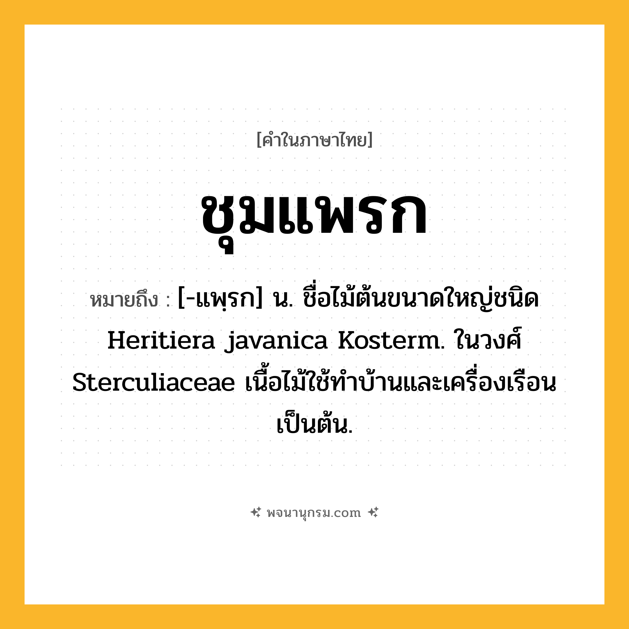 ชุมแพรก ความหมาย หมายถึงอะไร?, คำในภาษาไทย ชุมแพรก หมายถึง [-แพฺรก] น. ชื่อไม้ต้นขนาดใหญ่ชนิด Heritiera javanica Kosterm. ในวงศ์ Sterculiaceae เนื้อไม้ใช้ทําบ้านและเครื่องเรือนเป็นต้น.