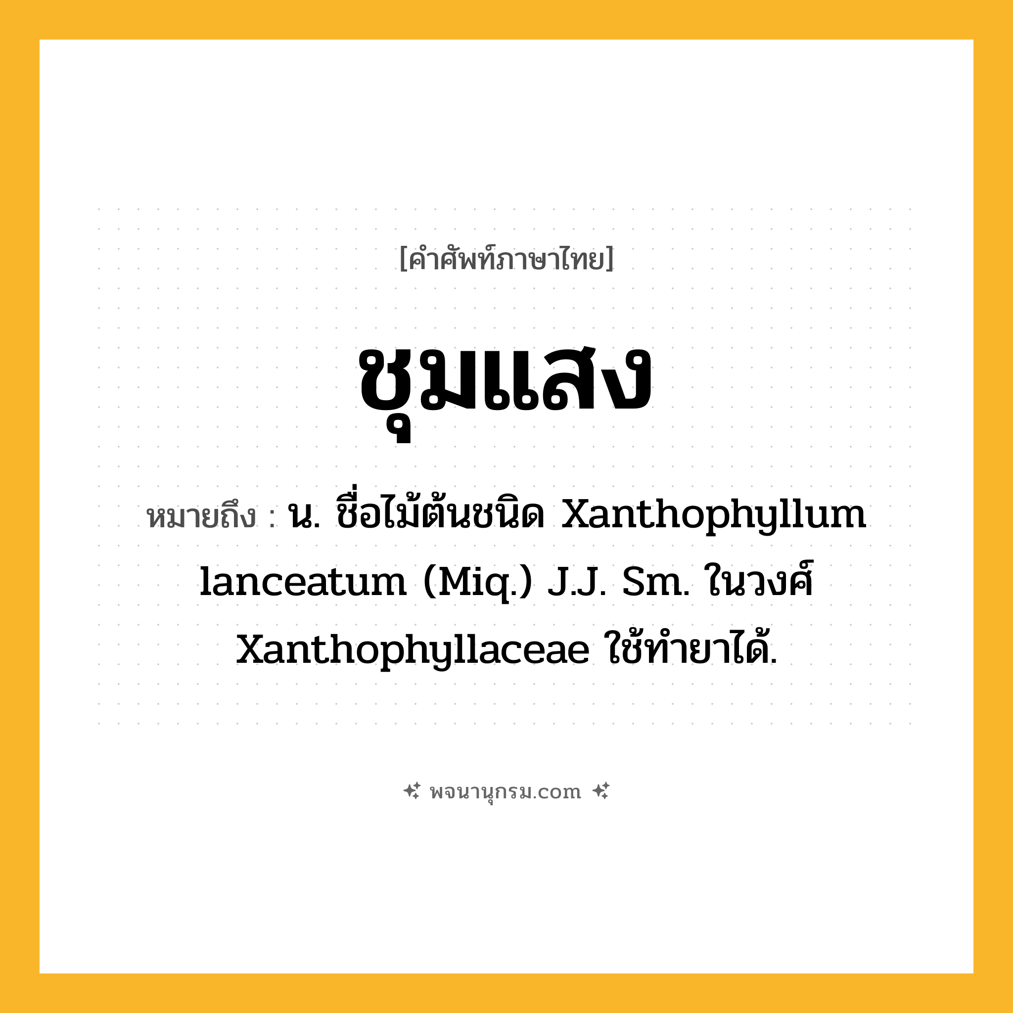 ชุมแสง ความหมาย หมายถึงอะไร?, คำในภาษาไทย ชุมแสง หมายถึง น. ชื่อไม้ต้นชนิด Xanthophyllum lanceatum (Miq.) J.J. Sm. ในวงศ์ Xanthophyllaceae ใช้ทํายาได้.