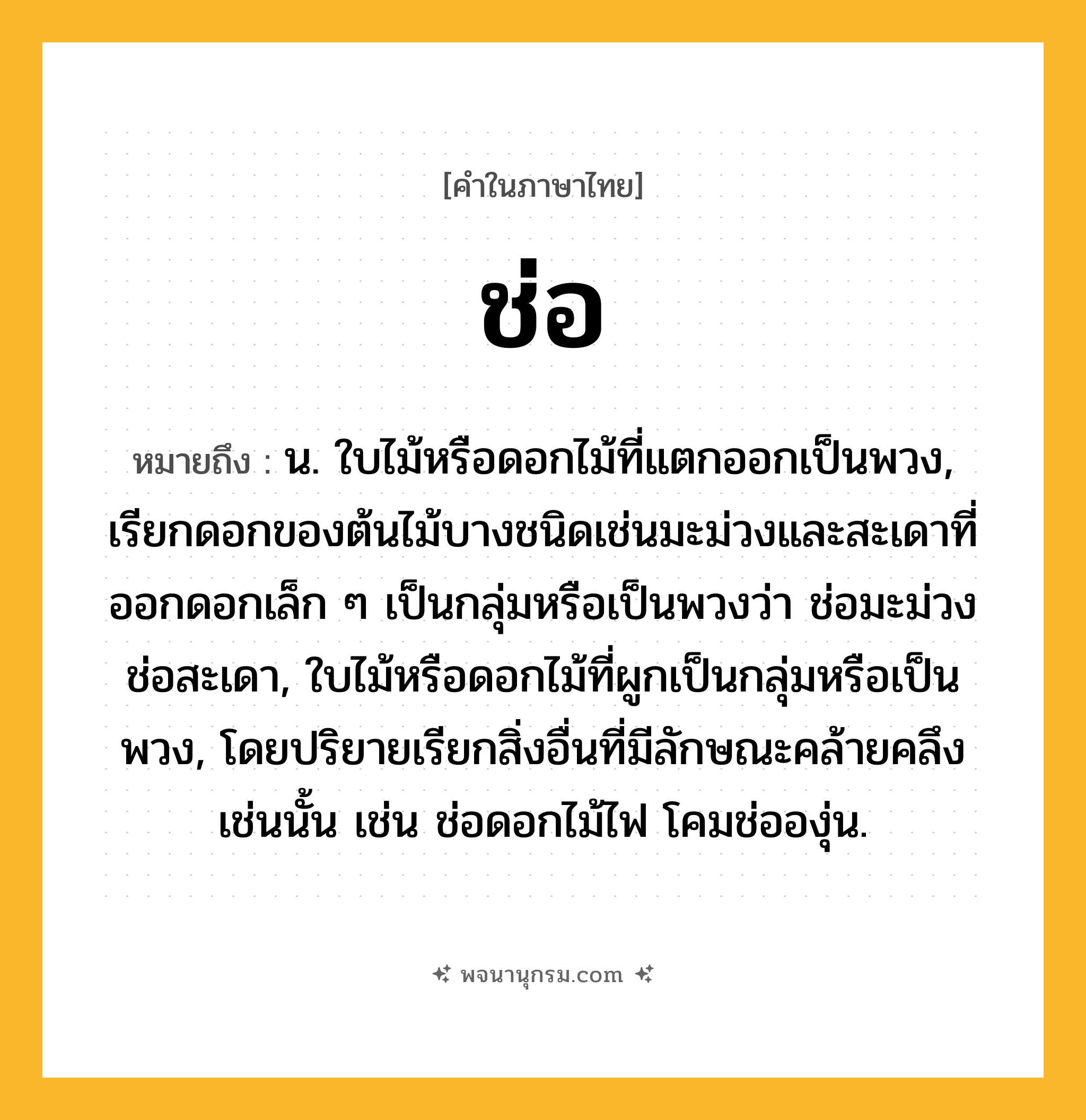 ช่อ ความหมาย หมายถึงอะไร?, คำในภาษาไทย ช่อ หมายถึง น. ใบไม้หรือดอกไม้ที่แตกออกเป็นพวง, เรียกดอกของต้นไม้บางชนิดเช่นมะม่วงและสะเดาที่ออกดอกเล็ก ๆ เป็นกลุ่มหรือเป็นพวงว่า ช่อมะม่วง ช่อสะเดา, ใบไม้หรือดอกไม้ที่ผูกเป็นกลุ่มหรือเป็นพวง, โดยปริยายเรียกสิ่งอื่นที่มีลักษณะคล้ายคลึงเช่นนั้น เช่น ช่อดอกไม้ไฟ โคมช่อองุ่น.