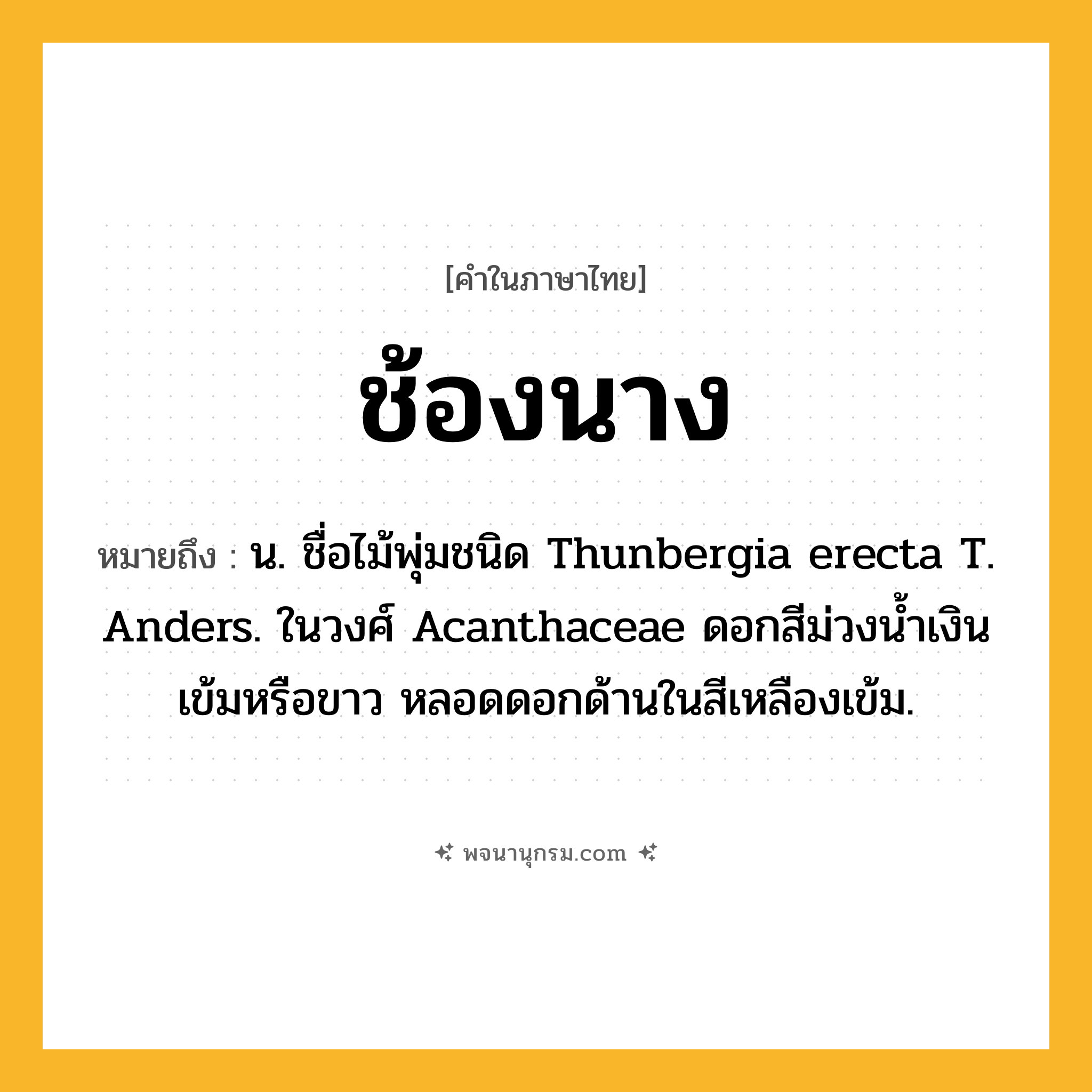 ช้องนาง ความหมาย หมายถึงอะไร?, คำในภาษาไทย ช้องนาง หมายถึง น. ชื่อไม้พุ่มชนิด Thunbergia erecta T. Anders. ในวงศ์ Acanthaceae ดอกสีม่วงนํ้าเงินเข้มหรือขาว หลอดดอกด้านในสีเหลืองเข้ม.