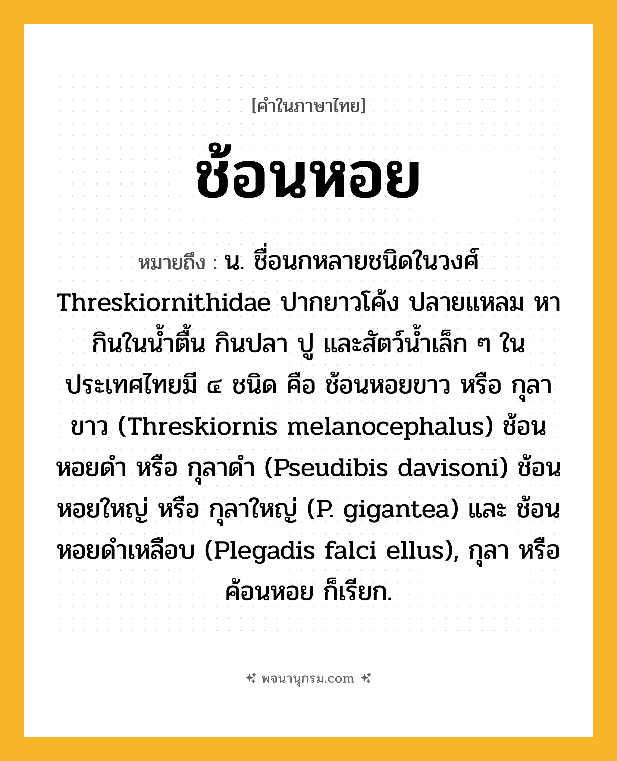 ช้อนหอย ความหมาย หมายถึงอะไร?, คำในภาษาไทย ช้อนหอย หมายถึง น. ชื่อนกหลายชนิดในวงศ์ Threskiornithidae ปากยาวโค้ง ปลายแหลม หากินในนํ้าตื้น กินปลา ปู และสัตว์นํ้าเล็ก ๆ ในประเทศไทยมี ๔ ชนิด คือ ช้อนหอยขาว หรือ กุลาขาว (Threskiornis melanocephalus) ช้อนหอยดํา หรือ กุลาดํา (Pseudibis davisoni) ช้อนหอยใหญ่ หรือ กุลาใหญ่ (P. gigantea) และ ช้อนหอยดำเหลือบ (Plegadis falci ellus), กุลา หรือ ค้อนหอย ก็เรียก.