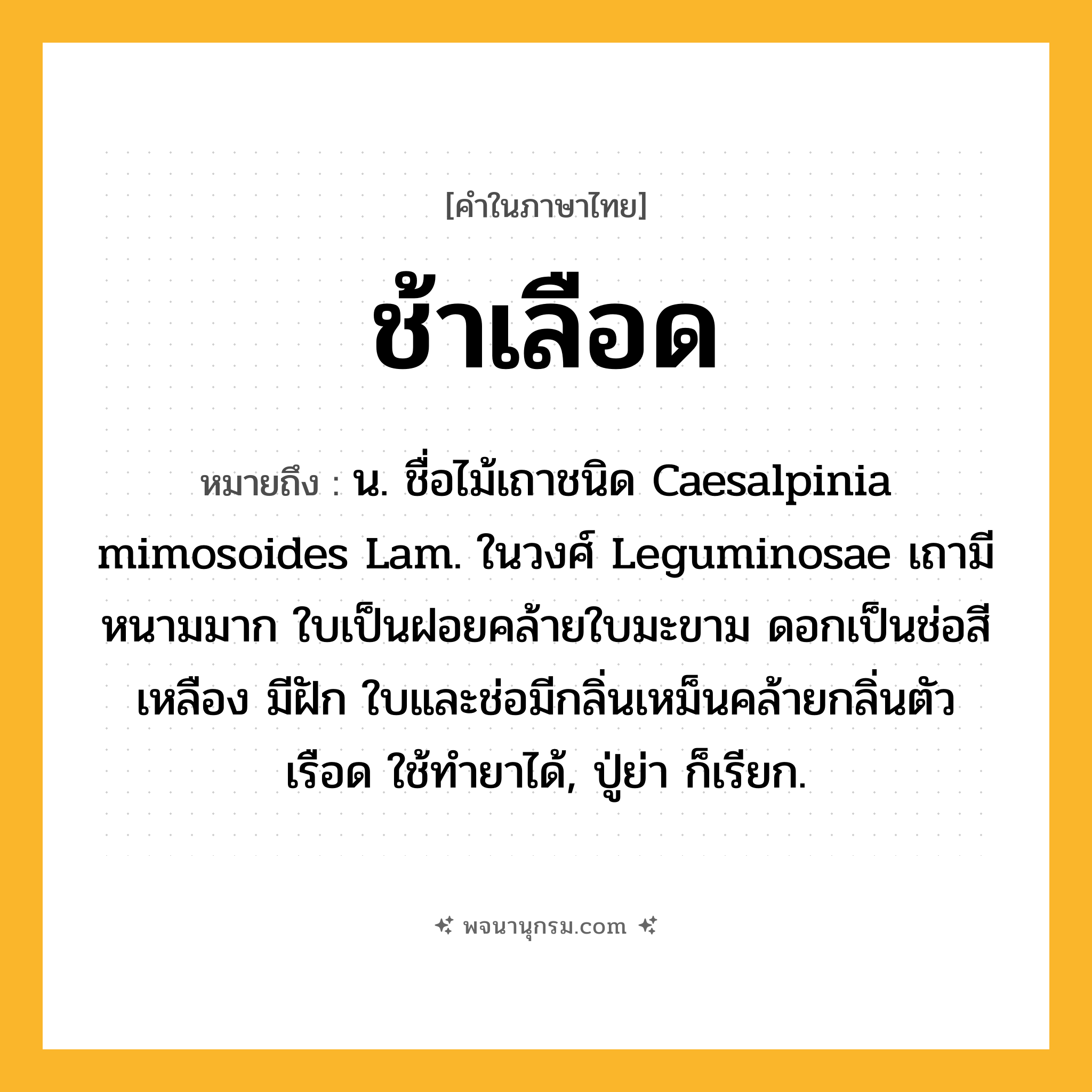 ช้าเลือด ความหมาย หมายถึงอะไร?, คำในภาษาไทย ช้าเลือด หมายถึง น. ชื่อไม้เถาชนิด Caesalpinia mimosoides Lam. ในวงศ์ Leguminosae เถามีหนามมาก ใบเป็นฝอยคล้ายใบมะขาม ดอกเป็นช่อสีเหลือง มีฝัก ใบและช่อมีกลิ่นเหม็นคล้ายกลิ่นตัวเรือด ใช้ทํายาได้, ปู่ย่า ก็เรียก.