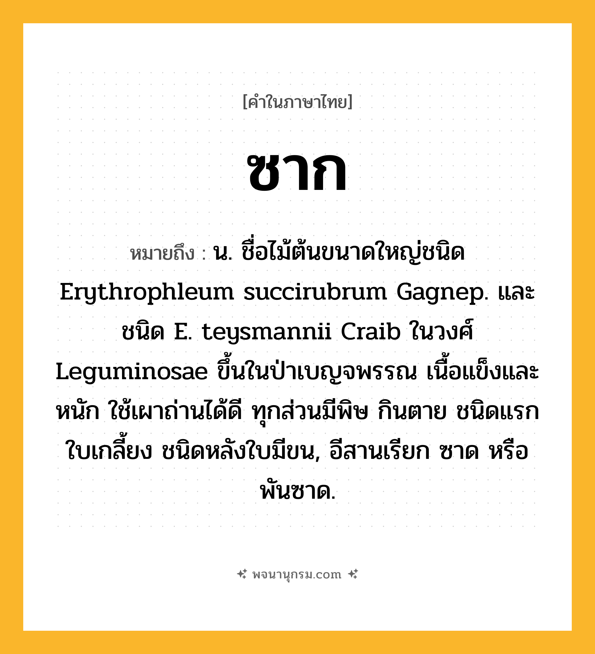 ซาก ความหมาย หมายถึงอะไร?, คำในภาษาไทย ซาก หมายถึง น. ชื่อไม้ต้นขนาดใหญ่ชนิด Erythrophleum succirubrum Gagnep. และชนิด E. teysmannii Craib ในวงศ์ Leguminosae ขึ้นในป่าเบญจพรรณ เนื้อแข็งและหนัก ใช้เผาถ่านได้ดี ทุกส่วนมีพิษ กินตาย ชนิดแรกใบเกลี้ยง ชนิดหลังใบมีขน, อีสานเรียก ซาด หรือ พันซาด.