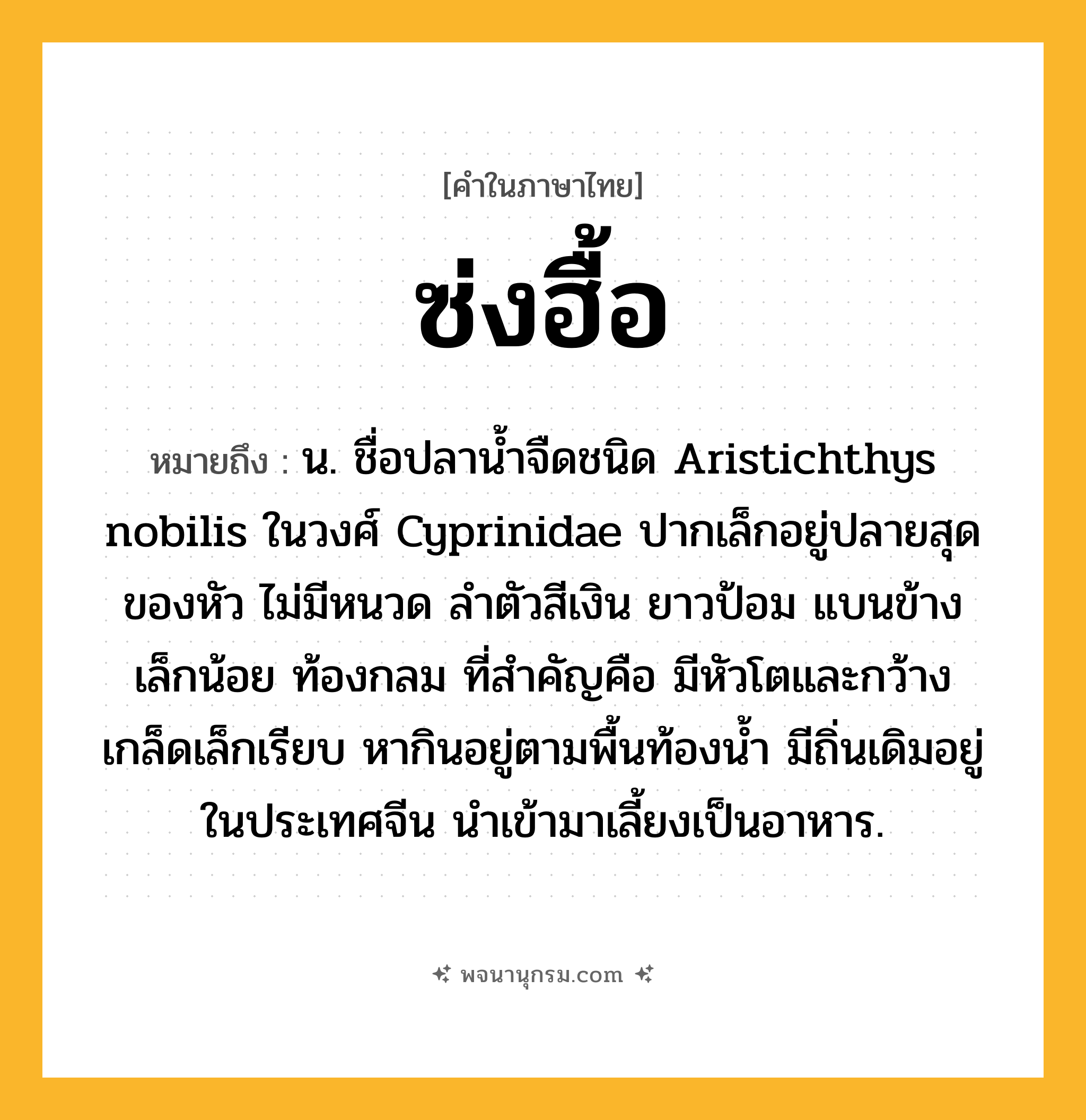 ซ่งฮื้อ ความหมาย หมายถึงอะไร?, คำในภาษาไทย ซ่งฮื้อ หมายถึง น. ชื่อปลานํ้าจืดชนิด Aristichthys nobilis ในวงศ์ Cyprinidae ปากเล็กอยู่ปลายสุดของหัว ไม่มีหนวด ลําตัวสีเงิน ยาวป้อม แบนข้างเล็กน้อย ท้องกลม ที่สําคัญคือ มีหัวโตและกว้าง เกล็ดเล็กเรียบ หากินอยู่ตามพื้นท้องนํ้า มีถิ่นเดิมอยู่ในประเทศจีน นําเข้ามาเลี้ยงเป็นอาหาร.