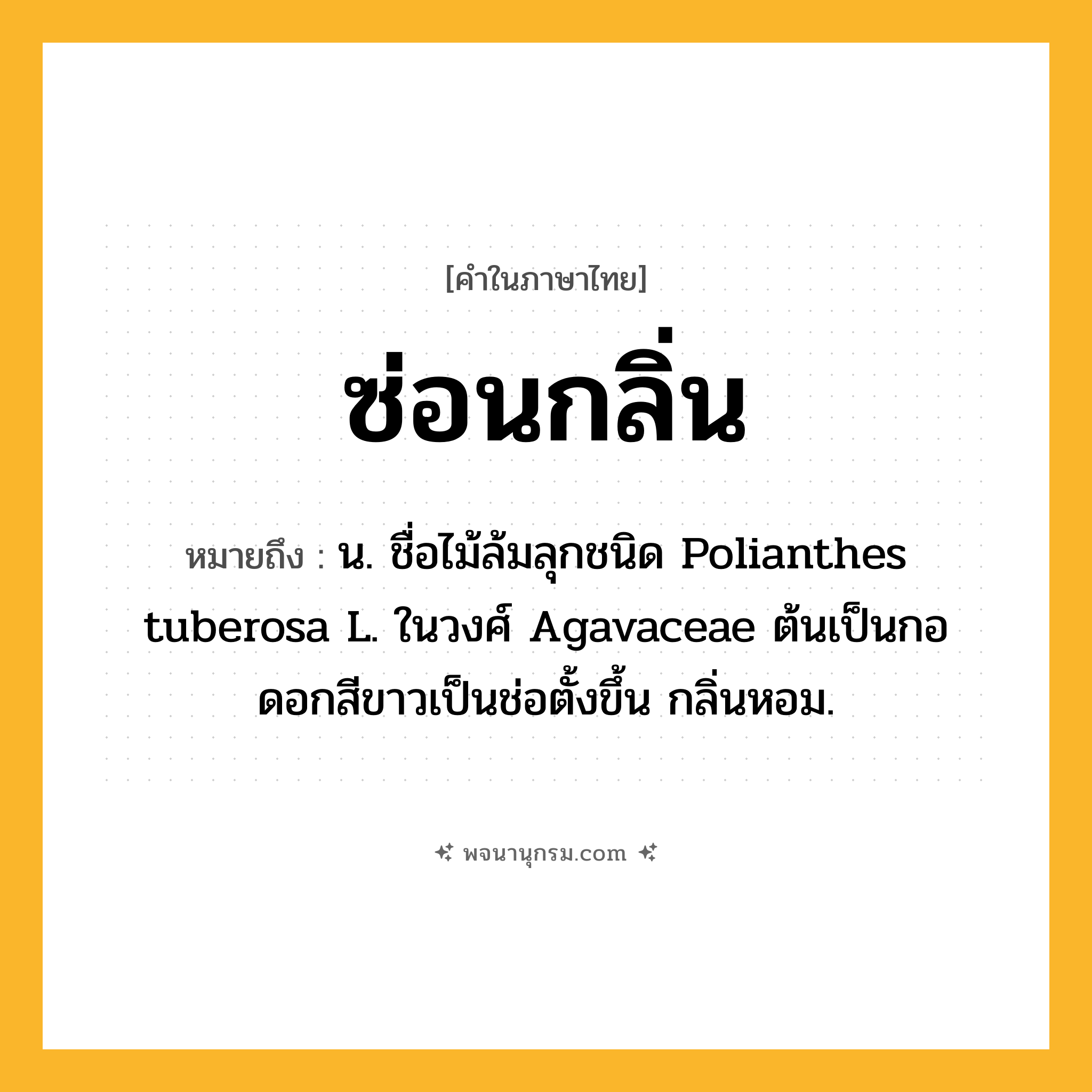 ซ่อนกลิ่น ความหมาย หมายถึงอะไร?, คำในภาษาไทย ซ่อนกลิ่น หมายถึง น. ชื่อไม้ล้มลุกชนิด Polianthes tuberosa L. ในวงศ์ Agavaceae ต้นเป็นกอ ดอกสีขาวเป็นช่อตั้งขึ้น กลิ่นหอม.