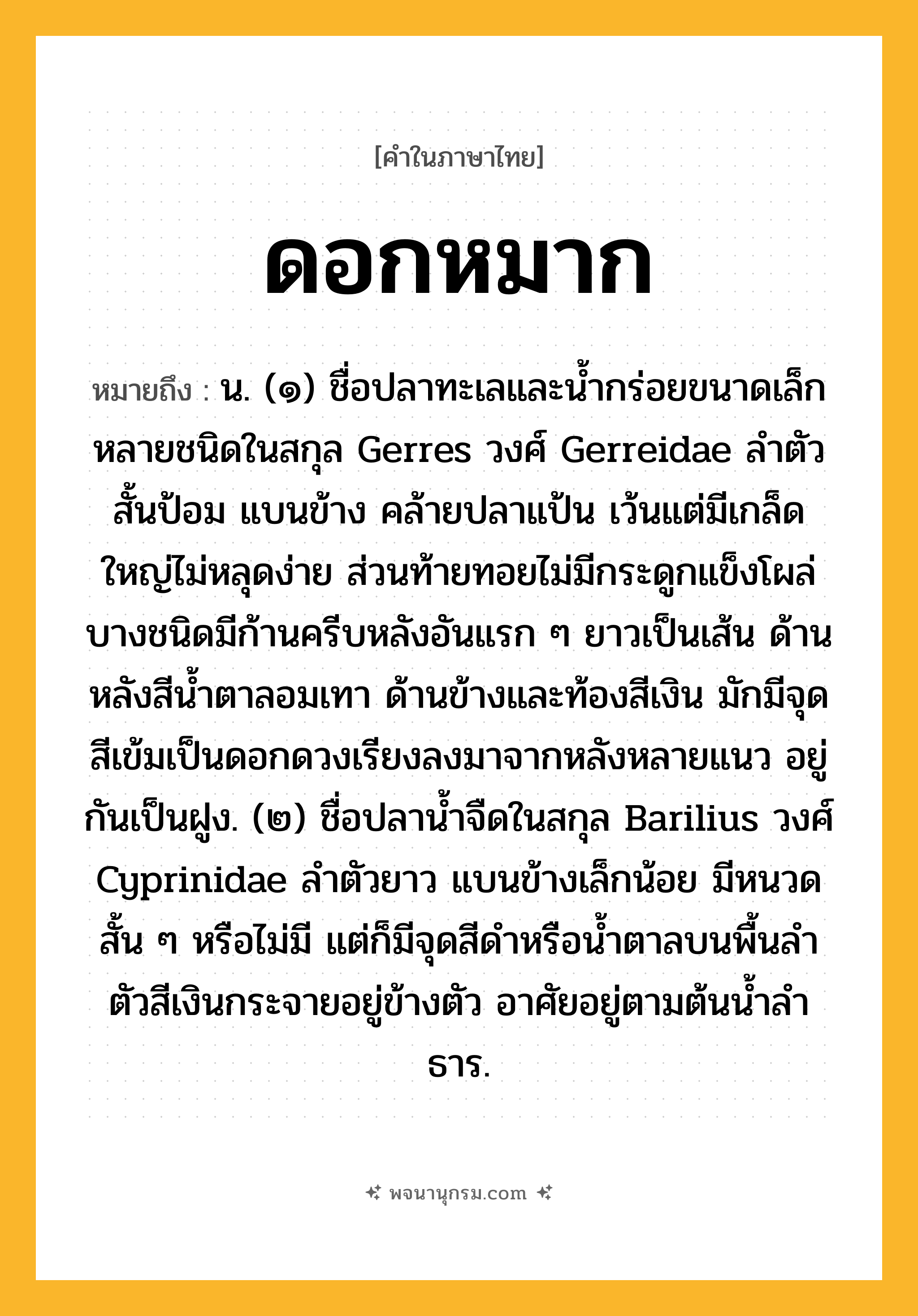 ดอกหมาก ความหมาย หมายถึงอะไร?, คำในภาษาไทย ดอกหมาก หมายถึง น. (๑) ชื่อปลาทะเลและนํ้ากร่อยขนาดเล็กหลายชนิดในสกุล Gerres วงศ์ Gerreidae ลําตัวสั้นป้อม แบนข้าง คล้ายปลาแป้น เว้นแต่มีเกล็ดใหญ่ไม่หลุดง่าย ส่วนท้ายทอยไม่มีกระดูกแข็งโผล่ บางชนิดมีก้านครีบหลังอันแรก ๆ ยาวเป็นเส้น ด้านหลังสีนํ้าตาลอมเทา ด้านข้างและท้องสีเงิน มักมีจุดสีเข้มเป็นดอกดวงเรียงลงมาจากหลังหลายแนว อยู่กันเป็นฝูง. (๒) ชื่อปลานํ้าจืดในสกุล Barilius วงศ์ Cyprinidae ลําตัวยาว แบนข้างเล็กน้อย มีหนวดสั้น ๆ หรือไม่มี แต่ก็มีจุดสีดําหรือนํ้าตาลบนพื้นลําตัวสีเงินกระจายอยู่ข้างตัว อาศัยอยู่ตามต้นนํ้าลําธาร.