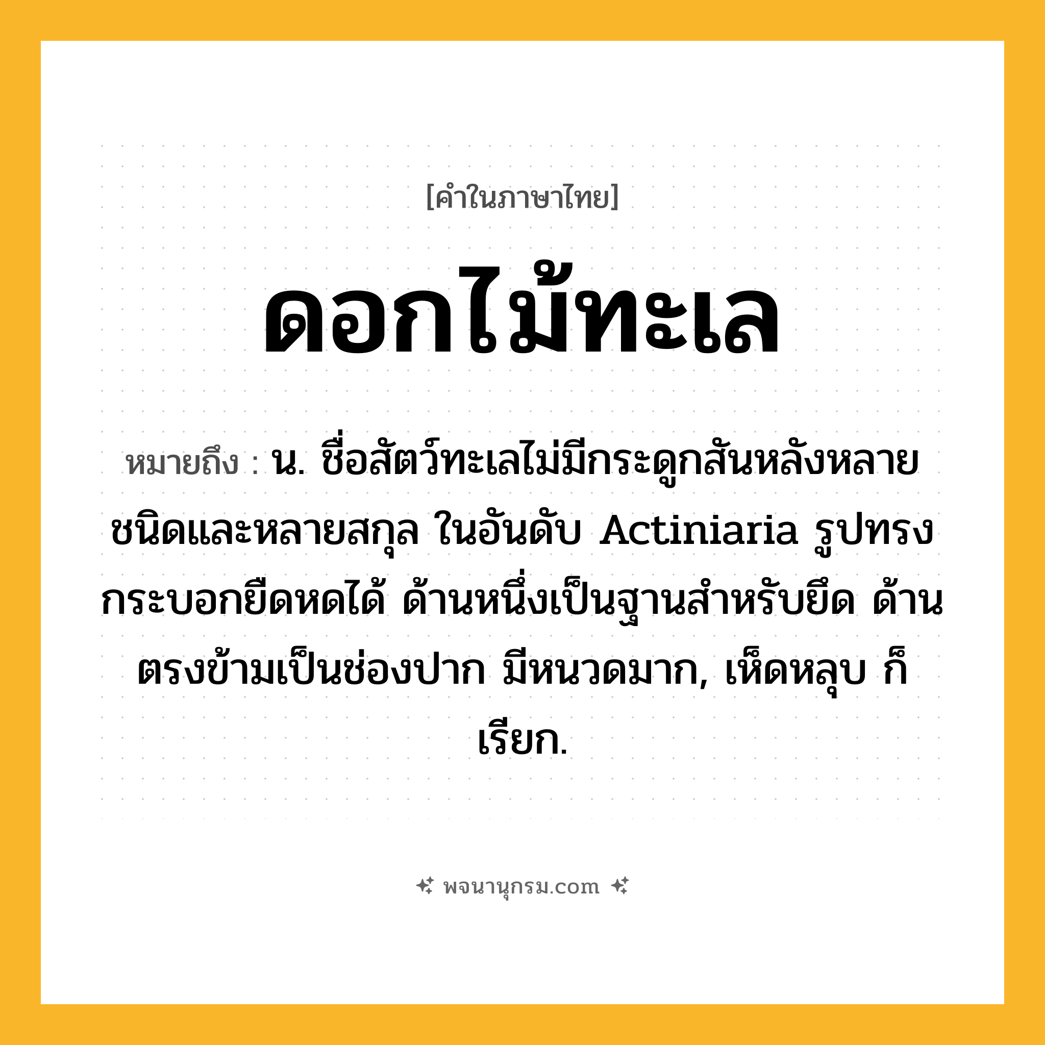 ดอกไม้ทะเล ความหมาย หมายถึงอะไร?, คำในภาษาไทย ดอกไม้ทะเล หมายถึง น. ชื่อสัตว์ทะเลไม่มีกระดูกสันหลังหลายชนิดและหลายสกุล ในอันดับ Actiniaria รูปทรงกระบอกยืดหดได้ ด้านหนึ่งเป็นฐานสําหรับยึด ด้านตรงข้ามเป็นช่องปาก มีหนวดมาก, เห็ดหลุบ ก็เรียก.