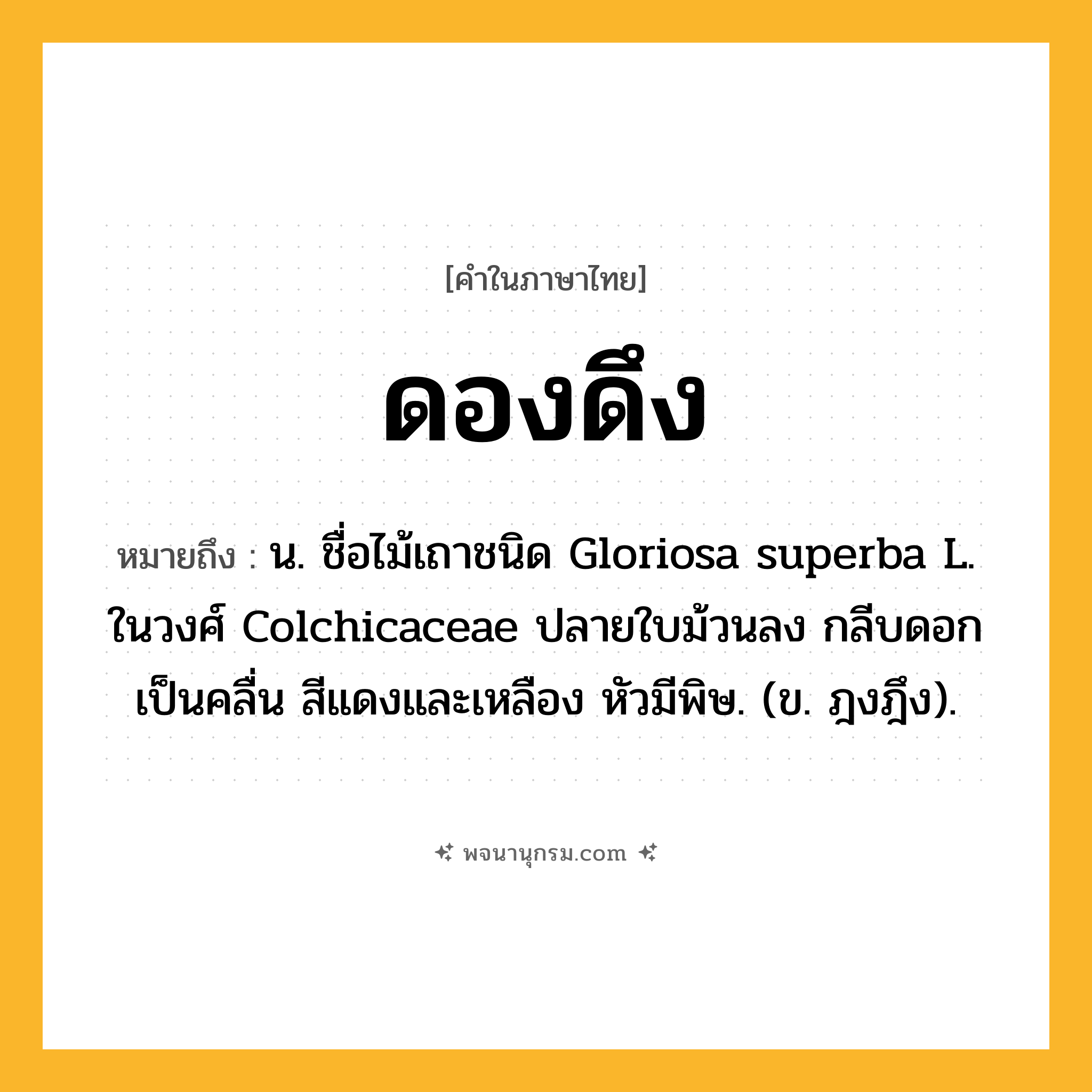 ดองดึง ความหมาย หมายถึงอะไร?, คำในภาษาไทย ดองดึง หมายถึง น. ชื่อไม้เถาชนิด Gloriosa superba L. ในวงศ์ Colchicaceae ปลายใบม้วนลง กลีบดอกเป็นคลื่น สีแดงและเหลือง หัวมีพิษ. (ข. ฎงฎึง).