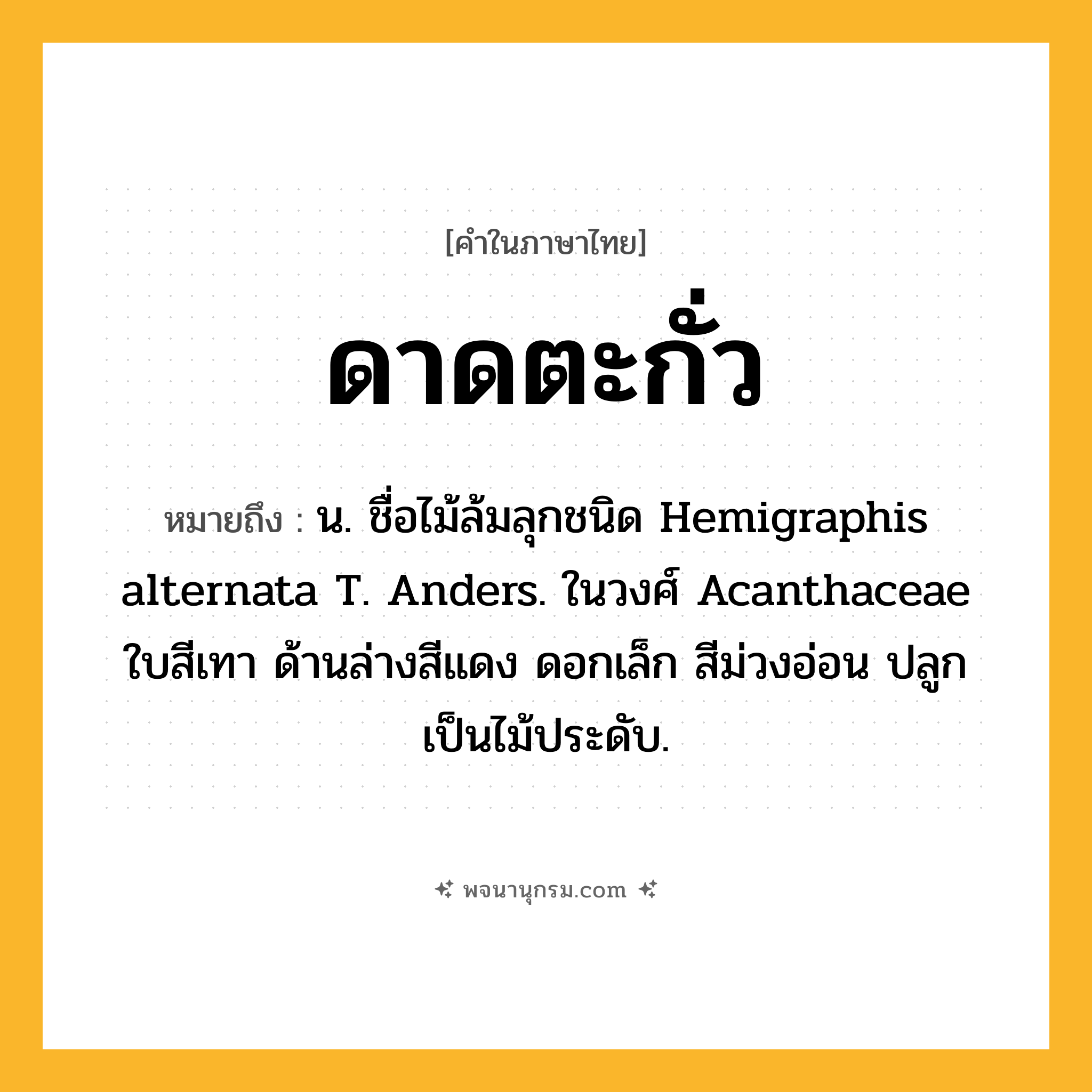 ดาดตะกั่ว ความหมาย หมายถึงอะไร?, คำในภาษาไทย ดาดตะกั่ว หมายถึง น. ชื่อไม้ล้มลุกชนิด Hemigraphis alternata T. Anders. ในวงศ์ Acanthaceae ใบสีเทา ด้านล่างสีแดง ดอกเล็ก สีม่วงอ่อน ปลูกเป็นไม้ประดับ.