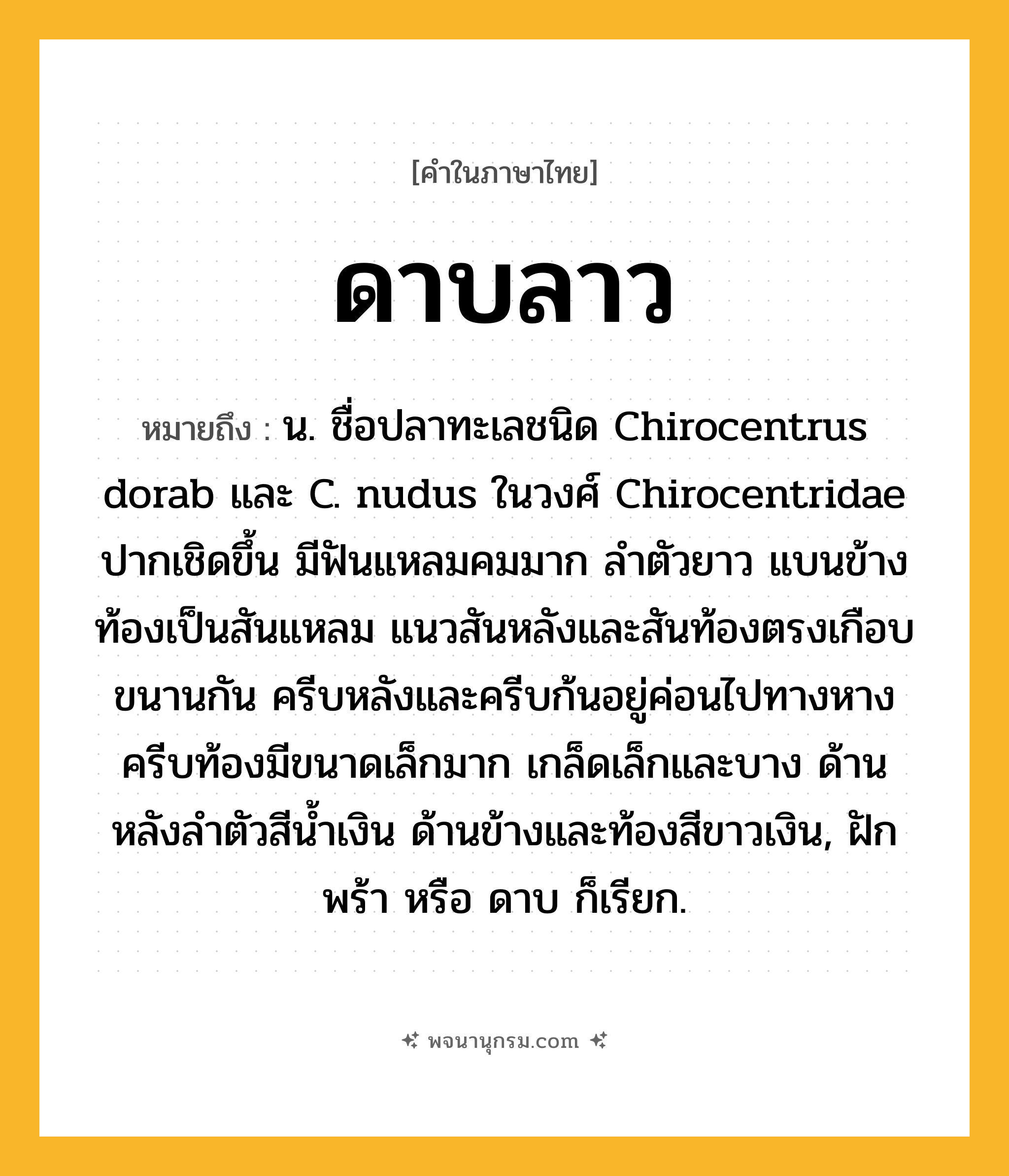 ดาบลาว ความหมาย หมายถึงอะไร?, คำในภาษาไทย ดาบลาว หมายถึง น. ชื่อปลาทะเลชนิด Chirocentrus dorab และ C. nudus ในวงศ์ Chirocentridae ปากเชิดขึ้น มีฟันแหลมคมมาก ลําตัวยาว แบนข้าง ท้องเป็นสันแหลม แนวสันหลังและสันท้องตรงเกือบขนานกัน ครีบหลังและครีบก้นอยู่ค่อนไปทางหาง ครีบท้องมีขนาดเล็กมาก เกล็ดเล็กและบาง ด้านหลังลําตัวสีนํ้าเงิน ด้านข้างและท้องสีขาวเงิน, ฝักพร้า หรือ ดาบ ก็เรียก.