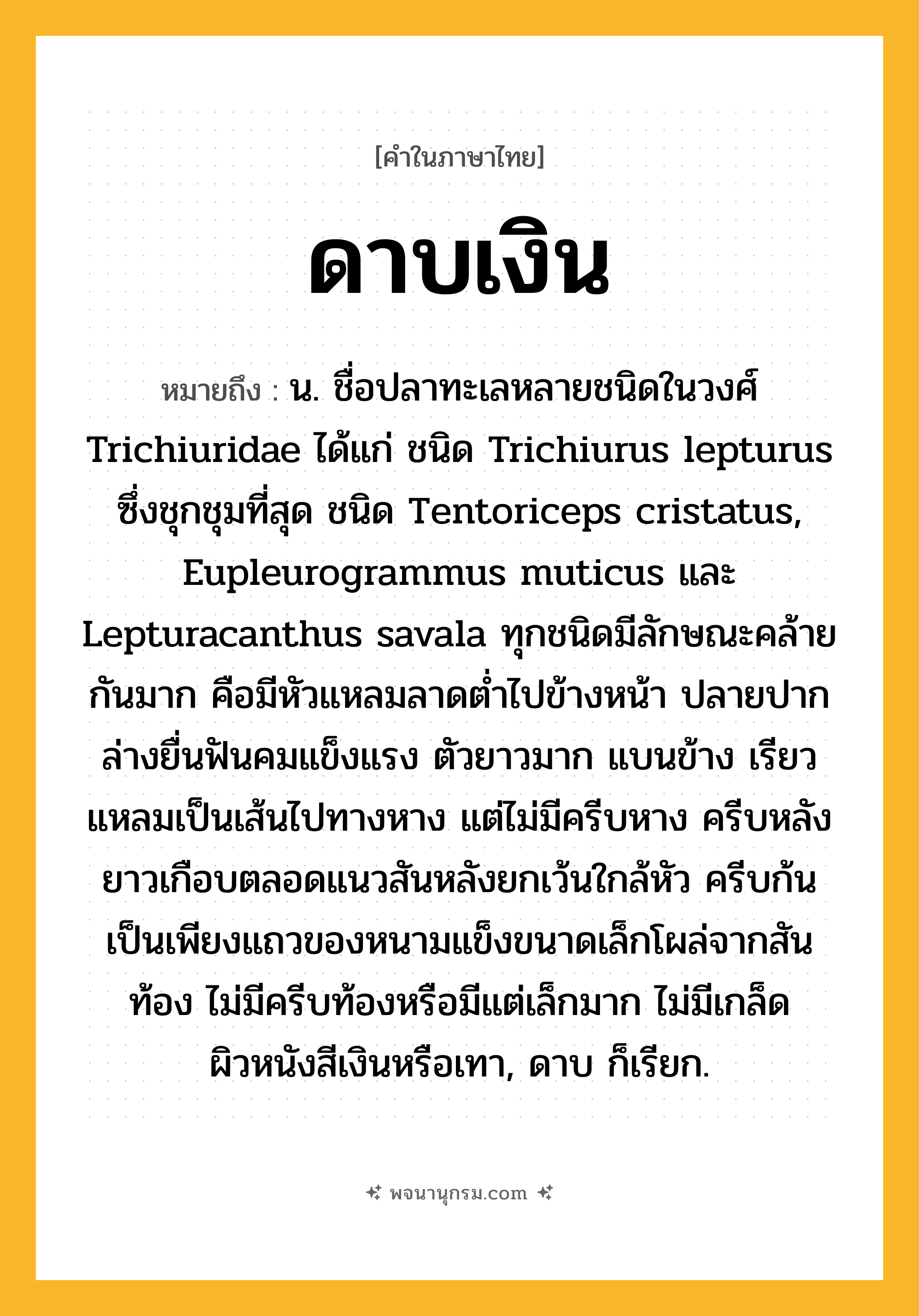 ดาบเงิน ความหมาย หมายถึงอะไร?, คำในภาษาไทย ดาบเงิน หมายถึง น. ชื่อปลาทะเลหลายชนิดในวงศ์ Trichiuridae ได้แก่ ชนิด Trichiurus lepturus ซึ่งชุกชุมที่สุด ชนิด Tentoriceps cristatus, Eupleurogrammus muticus และ Lepturacanthus savala ทุกชนิดมีลักษณะคล้ายกันมาก คือมีหัวแหลมลาดตํ่าไปข้างหน้า ปลายปากล่างยื่นฟันคมแข็งแรง ตัวยาวมาก แบนข้าง เรียวแหลมเป็นเส้นไปทางหาง แต่ไม่มีครีบหาง ครีบหลังยาวเกือบตลอดแนวสันหลังยกเว้นใกล้หัว ครีบก้นเป็นเพียงแถวของหนามแข็งขนาดเล็กโผล่จากสันท้อง ไม่มีครีบท้องหรือมีแต่เล็กมาก ไม่มีเกล็ด ผิวหนังสีเงินหรือเทา, ดาบ ก็เรียก.