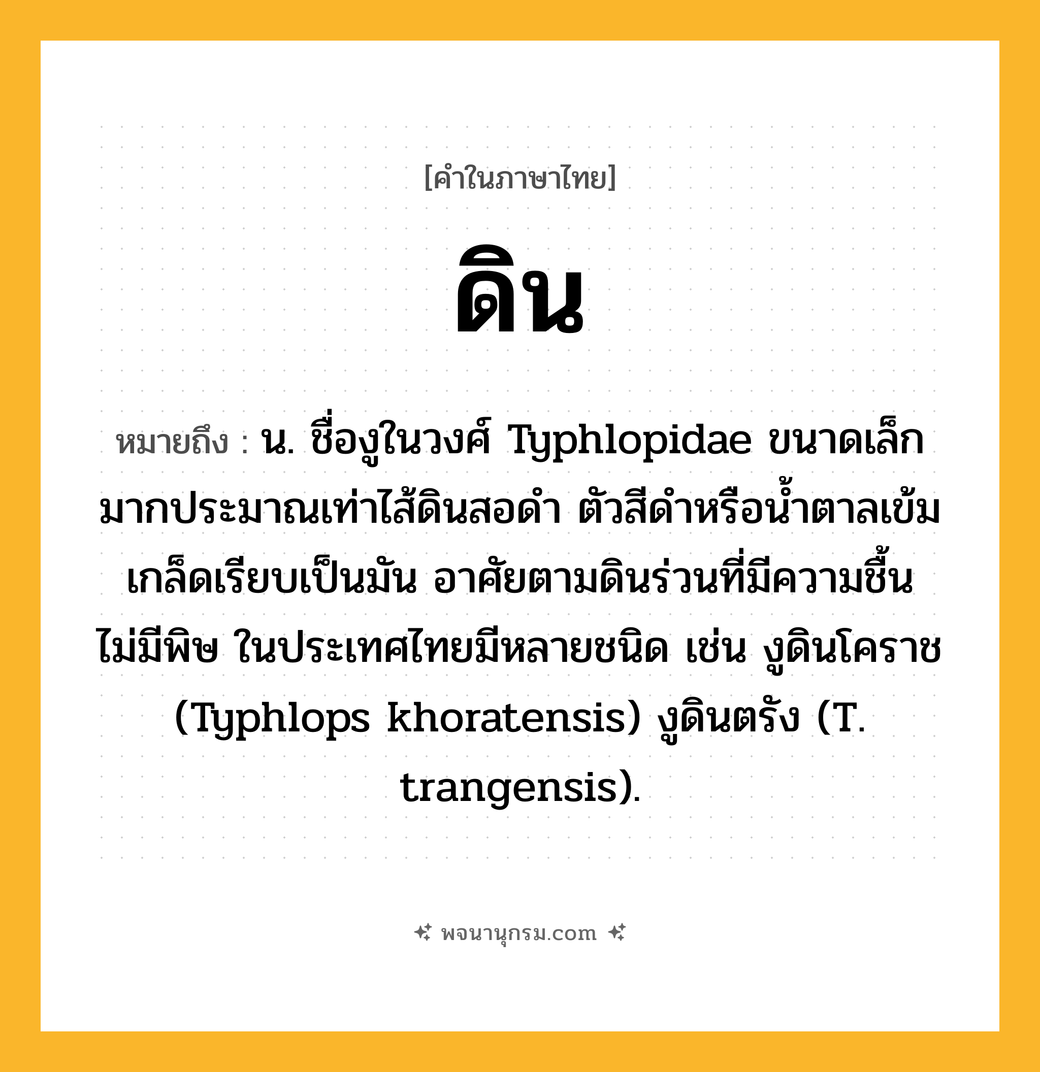 ดิน ความหมาย หมายถึงอะไร?, คำในภาษาไทย ดิน หมายถึง น. ชื่องูในวงศ์ Typhlopidae ขนาดเล็กมากประมาณเท่าไส้ดินสอดํา ตัวสีดําหรือนํ้าตาลเข้มเกล็ดเรียบเป็นมัน อาศัยตามดินร่วนที่มีความชื้น ไม่มีพิษ ในประเทศไทยมีหลายชนิด เช่น งูดินโคราช (Typhlops khoratensis) งูดินตรัง (T. trangensis).