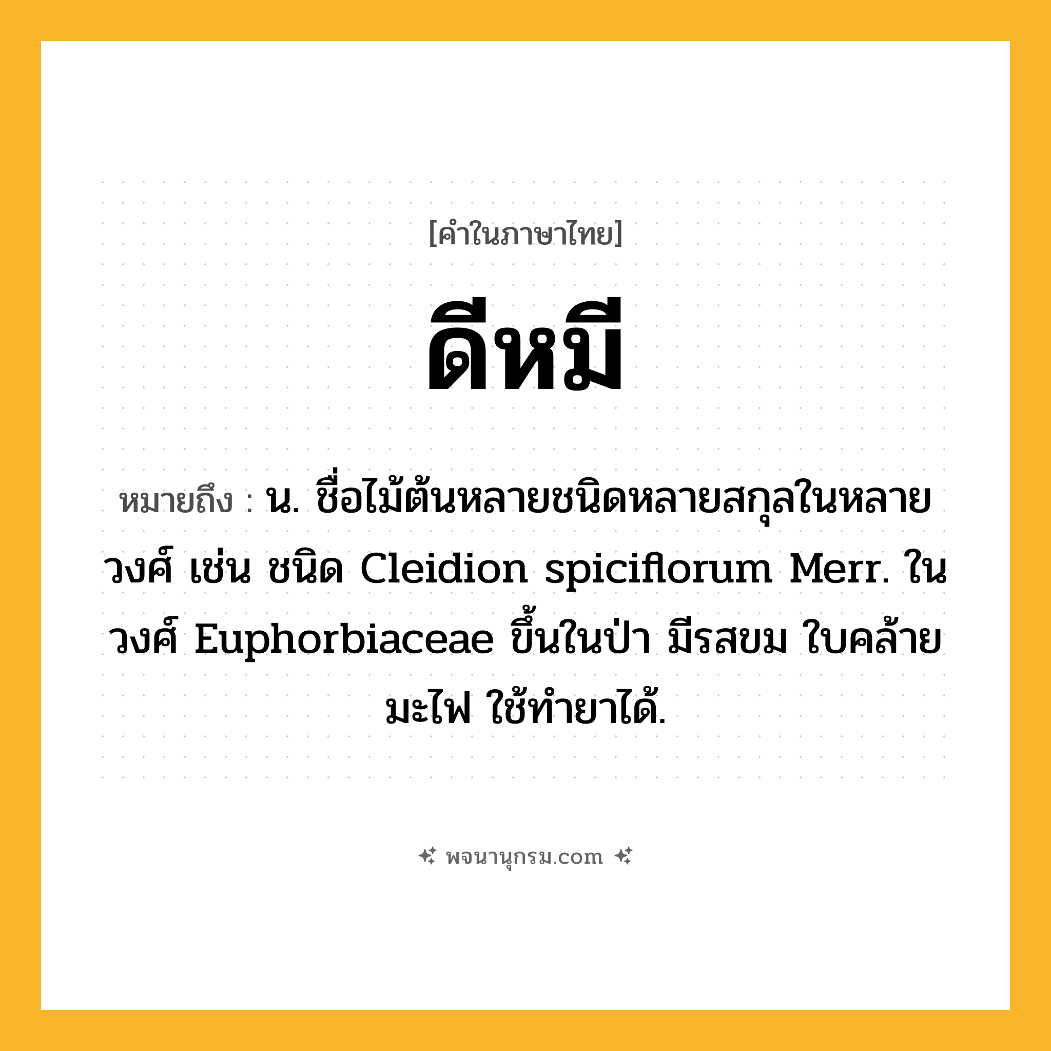 ดีหมี ความหมาย หมายถึงอะไร?, คำในภาษาไทย ดีหมี หมายถึง น. ชื่อไม้ต้นหลายชนิดหลายสกุลในหลายวงศ์ เช่น ชนิด Cleidion spiciflorum Merr. ในวงศ์ Euphorbiaceae ขึ้นในป่า มีรสขม ใบคล้ายมะไฟ ใช้ทํายาได้.