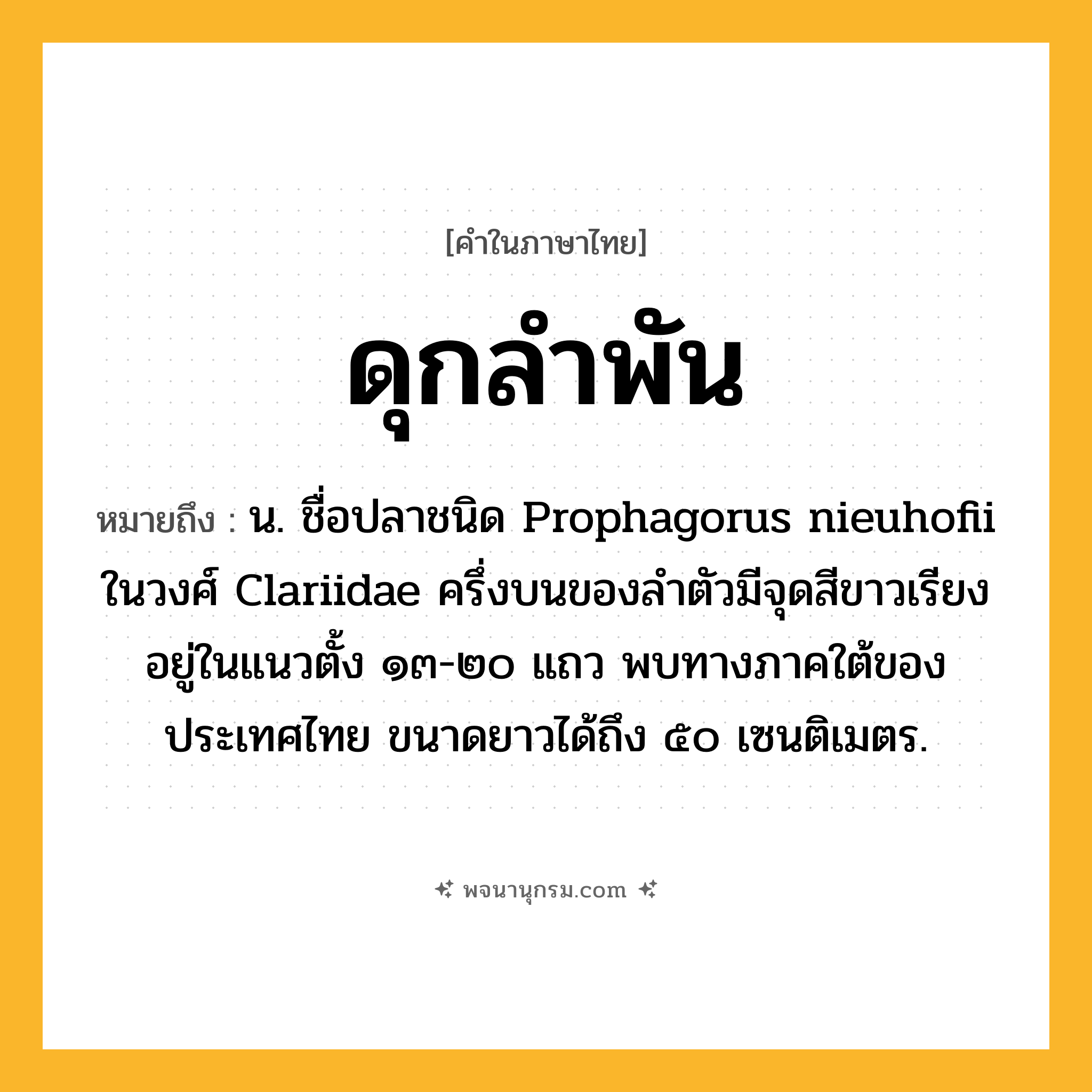 ดุกลำพัน ความหมาย หมายถึงอะไร?, คำในภาษาไทย ดุกลำพัน หมายถึง น. ชื่อปลาชนิด Prophagorus nieuhofii ในวงศ์ Clariidae ครึ่งบนของลําตัวมีจุดสีขาวเรียงอยู่ในแนวตั้ง ๑๓-๒๐ แถว พบทางภาคใต้ของประเทศไทย ขนาดยาวได้ถึง ๕๐ เซนติเมตร.