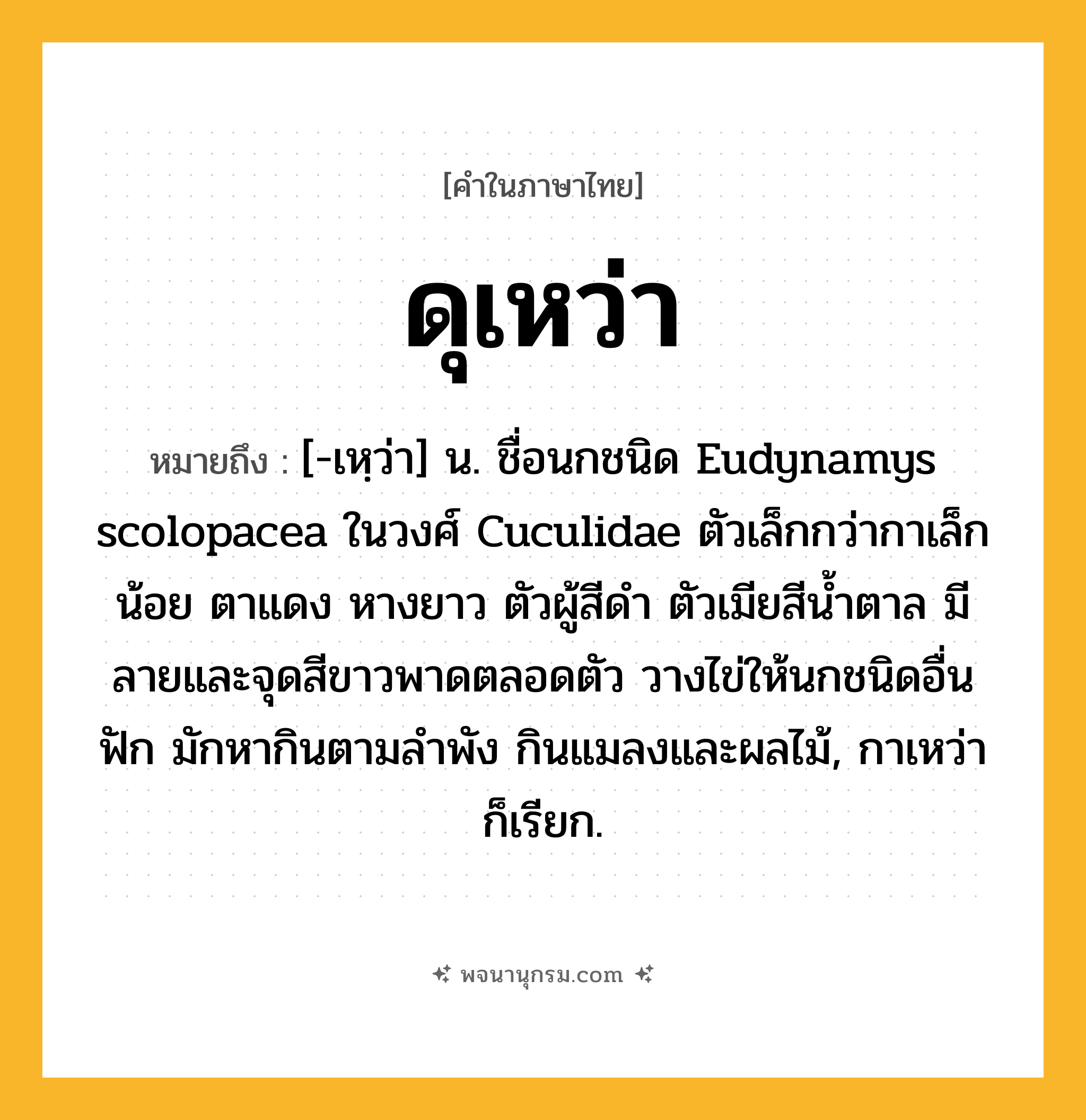 ดุเหว่า ความหมาย หมายถึงอะไร?, คำในภาษาไทย ดุเหว่า หมายถึง [-เหฺว่า] น. ชื่อนกชนิด Eudynamys scolopacea ในวงศ์ Cuculidae ตัวเล็กกว่ากาเล็กน้อย ตาแดง หางยาว ตัวผู้สีดํา ตัวเมียสีนํ้าตาล มีลายและจุดสีขาวพาดตลอดตัว วางไข่ให้นกชนิดอื่นฟัก มักหากินตามลําพัง กินแมลงและผลไม้, กาเหว่า ก็เรียก.