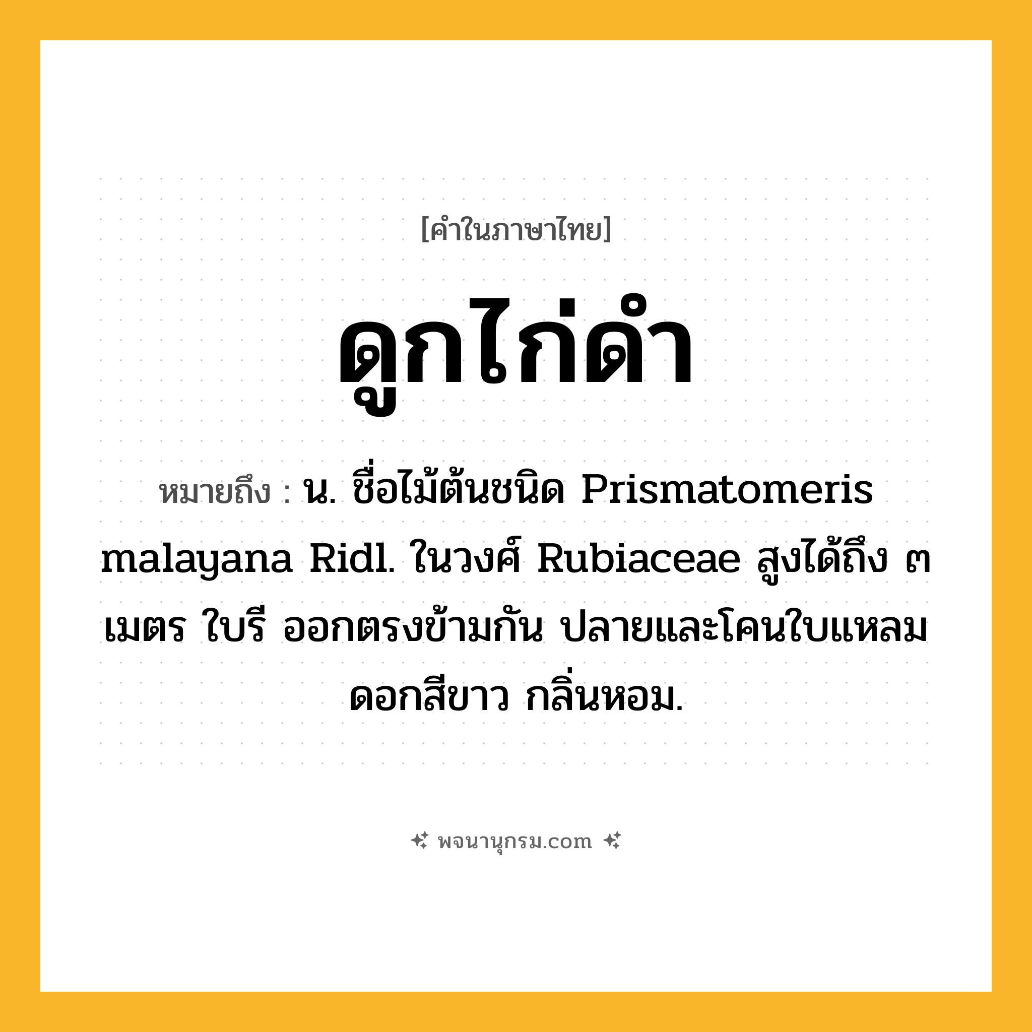 ดูกไก่ดำ ความหมาย หมายถึงอะไร?, คำในภาษาไทย ดูกไก่ดำ หมายถึง น. ชื่อไม้ต้นชนิด Prismatomeris malayana Ridl. ในวงศ์ Rubiaceae สูงได้ถึง ๓ เมตร ใบรี ออกตรงข้ามกัน ปลายและโคนใบแหลม ดอกสีขาว กลิ่นหอม.