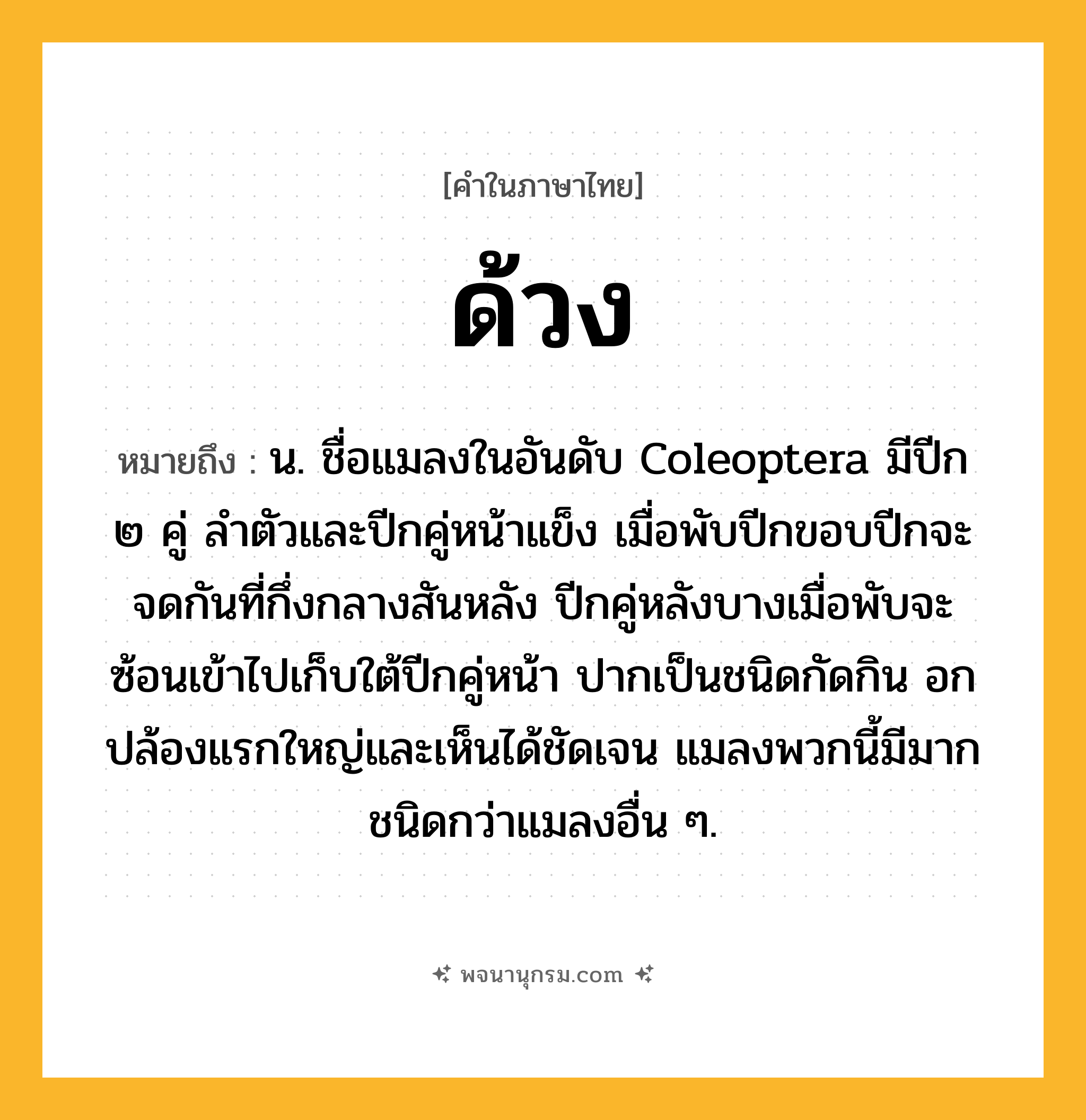 ด้วง ความหมาย หมายถึงอะไร?, คำในภาษาไทย ด้วง หมายถึง น. ชื่อแมลงในอันดับ Coleoptera มีปีก ๒ คู่ ลําตัวและปีกคู่หน้าแข็ง เมื่อพับปีกขอบปีกจะจดกันที่กึ่งกลางสันหลัง ปีกคู่หลังบางเมื่อพับจะซ้อนเข้าไปเก็บใต้ปีกคู่หน้า ปากเป็นชนิดกัดกิน อกปล้องแรกใหญ่และเห็นได้ชัดเจน แมลงพวกนี้มีมากชนิดกว่าแมลงอื่น ๆ.