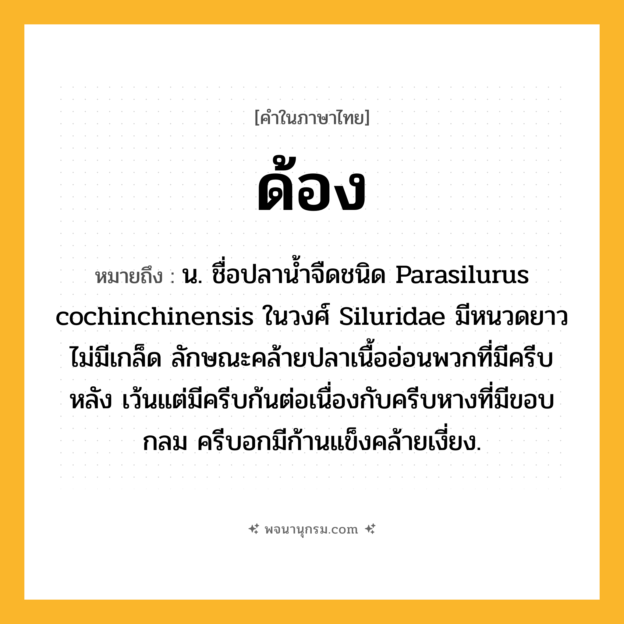 ด้อง ความหมาย หมายถึงอะไร?, คำในภาษาไทย ด้อง หมายถึง น. ชื่อปลานํ้าจืดชนิด Parasilurus cochinchinensis ในวงศ์ Siluridae มีหนวดยาว ไม่มีเกล็ด ลักษณะคล้ายปลาเนื้ออ่อนพวกที่มีครีบหลัง เว้นแต่มีครีบก้นต่อเนื่องกับครีบหางที่มีขอบกลม ครีบอกมีก้านแข็งคล้ายเงี่ยง.