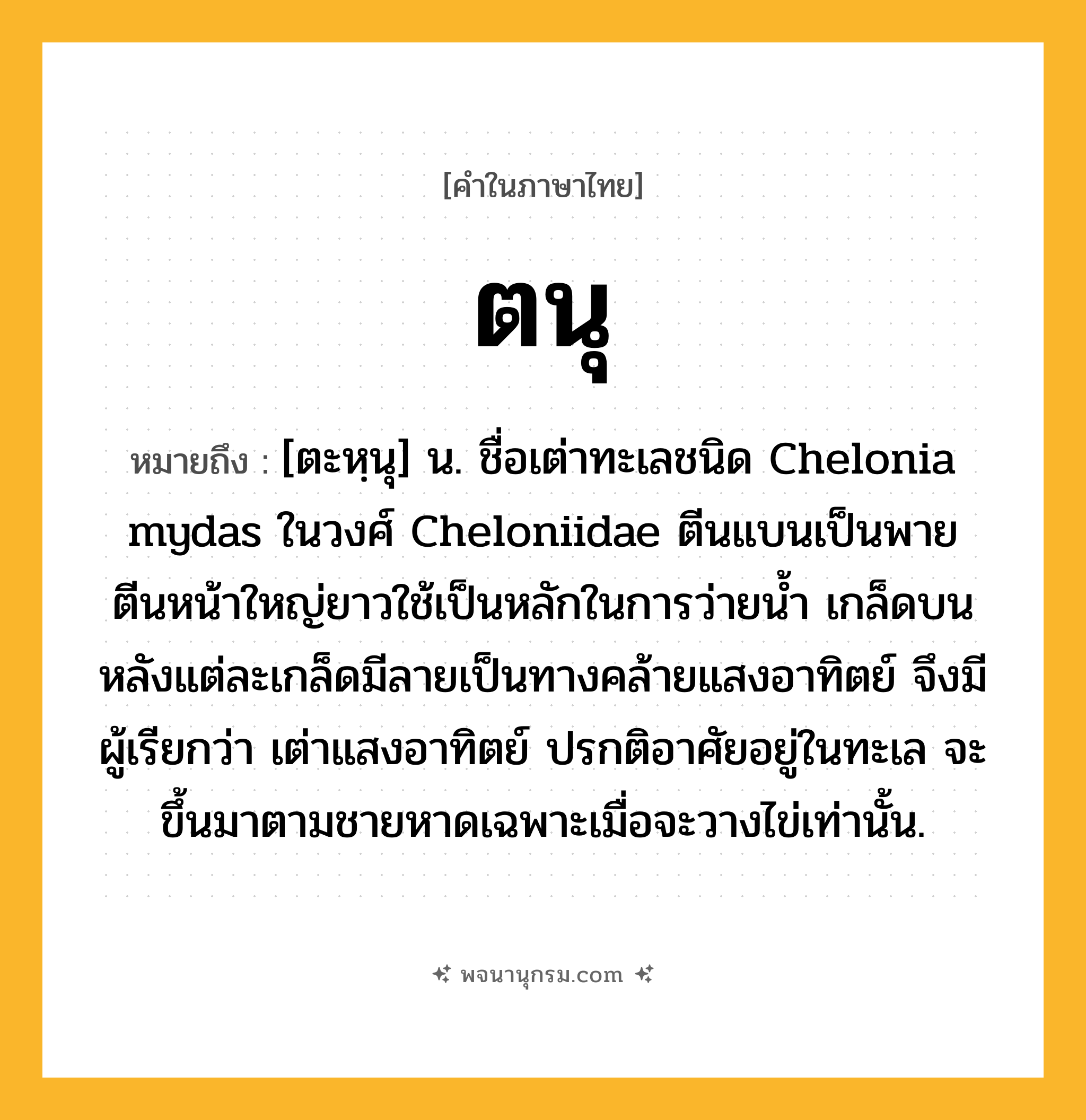 ตนุ ความหมาย หมายถึงอะไร?, คำในภาษาไทย ตนุ หมายถึง [ตะหฺนุ] น. ชื่อเต่าทะเลชนิด Chelonia mydas ในวงศ์ Cheloniidae ตีนแบนเป็นพาย ตีนหน้าใหญ่ยาวใช้เป็นหลักในการว่ายนํ้า เกล็ดบนหลังแต่ละเกล็ดมีลายเป็นทางคล้ายแสงอาทิตย์ จึงมีผู้เรียกว่า เต่าแสงอาทิตย์ ปรกติอาศัยอยู่ในทะเล จะขึ้นมาตามชายหาดเฉพาะเมื่อจะวางไข่เท่านั้น.