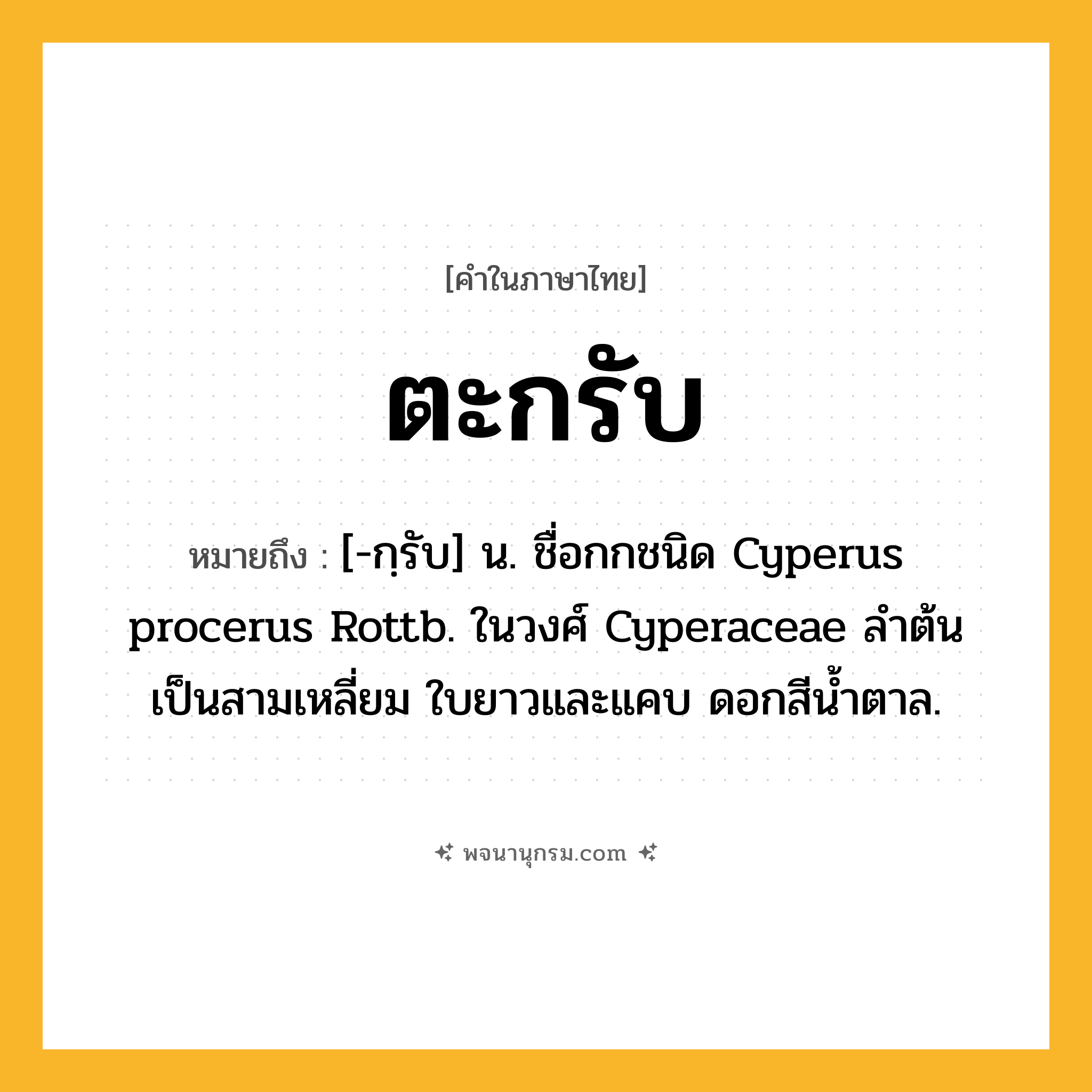 ตะกรับ ความหมาย หมายถึงอะไร?, คำในภาษาไทย ตะกรับ หมายถึง [-กฺรับ] น. ชื่อกกชนิด Cyperus procerus Rottb. ในวงศ์ Cyperaceae ลําต้นเป็นสามเหลี่ยม ใบยาวและแคบ ดอกสีนํ้าตาล.