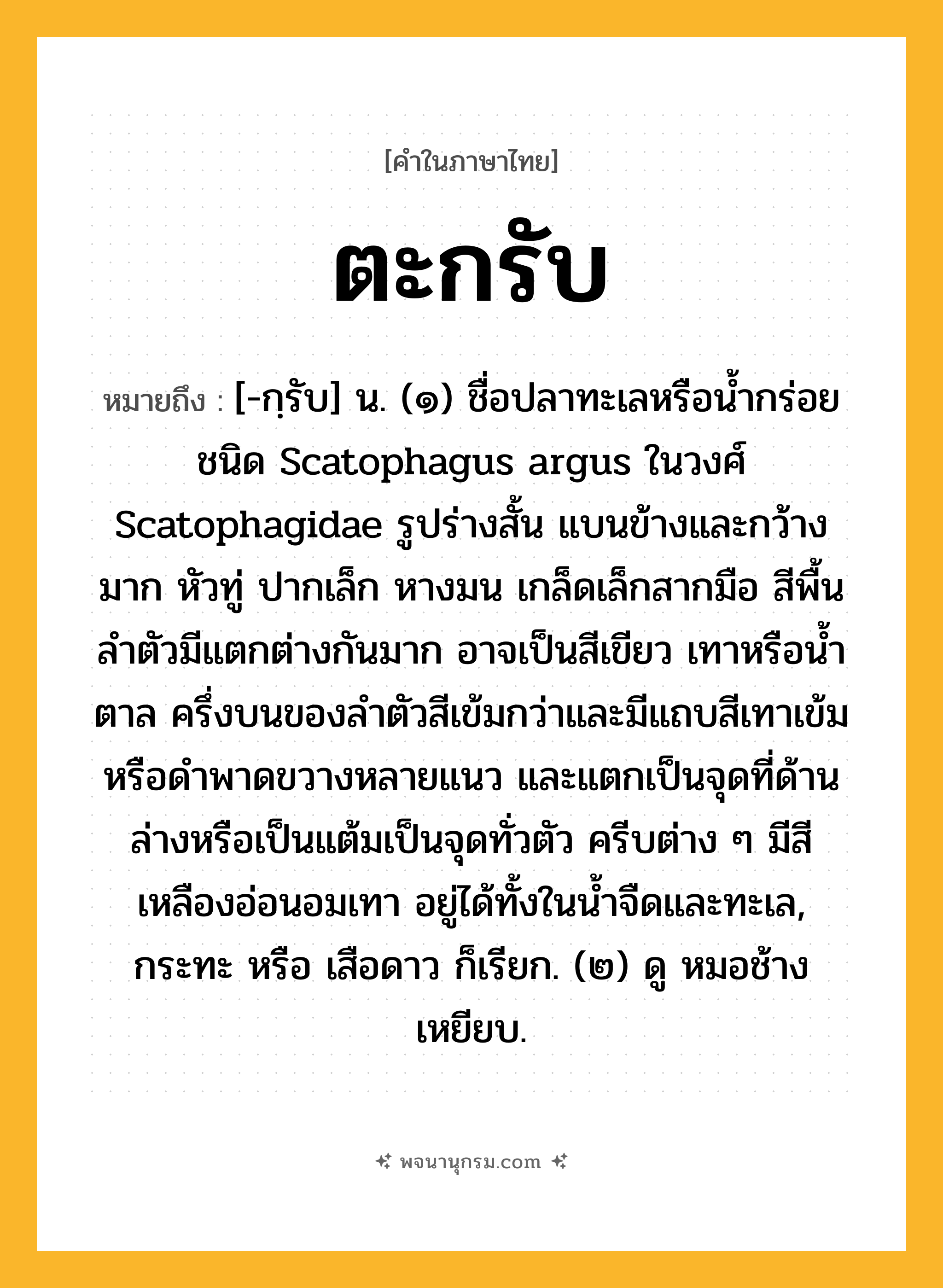 ตะกรับ ความหมาย หมายถึงอะไร?, คำในภาษาไทย ตะกรับ หมายถึง [-กฺรับ] น. (๑) ชื่อปลาทะเลหรือนํ้ากร่อยชนิด Scatophagus argus ในวงศ์ Scatophagidae รูปร่างสั้น แบนข้างและกว้างมาก หัวทู่ ปากเล็ก หางมน เกล็ดเล็กสากมือ สีพื้นลําตัวมีแตกต่างกันมาก อาจเป็นสีเขียว เทาหรือนํ้าตาล ครึ่งบนของลําตัวสีเข้มกว่าและมีแถบสีเทาเข้มหรือดําพาดขวางหลายแนว และแตกเป็นจุดที่ด้านล่างหรือเป็นแต้มเป็นจุดทั่วตัว ครีบต่าง ๆ มีสีเหลืองอ่อนอมเทา อยู่ได้ทั้งในนํ้าจืดและทะเล, กระทะ หรือ เสือดาว ก็เรียก. (๒) ดู หมอช้างเหยียบ.