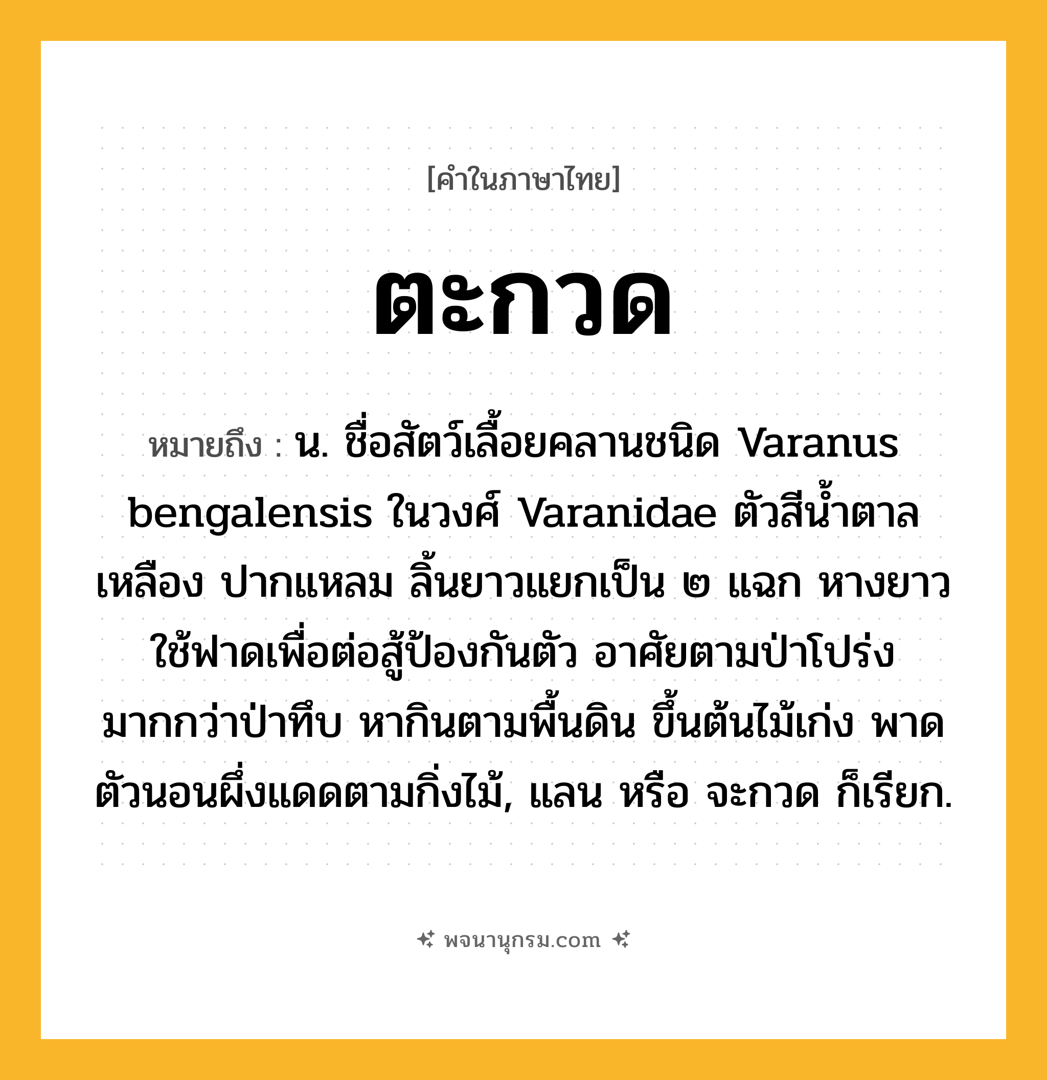 ตะกวด ความหมาย หมายถึงอะไร?, คำในภาษาไทย ตะกวด หมายถึง น. ชื่อสัตว์เลื้อยคลานชนิด Varanus bengalensis ในวงศ์ Varanidae ตัวสีนํ้าตาลเหลือง ปากแหลม ลิ้นยาวแยกเป็น ๒ แฉก หางยาวใช้ฟาดเพื่อต่อสู้ป้องกันตัว อาศัยตามป่าโปร่งมากกว่าป่าทึบ หากินตามพื้นดิน ขึ้นต้นไม้เก่ง พาดตัวนอนผึ่งแดดตามกิ่งไม้, แลน หรือ จะกวด ก็เรียก.