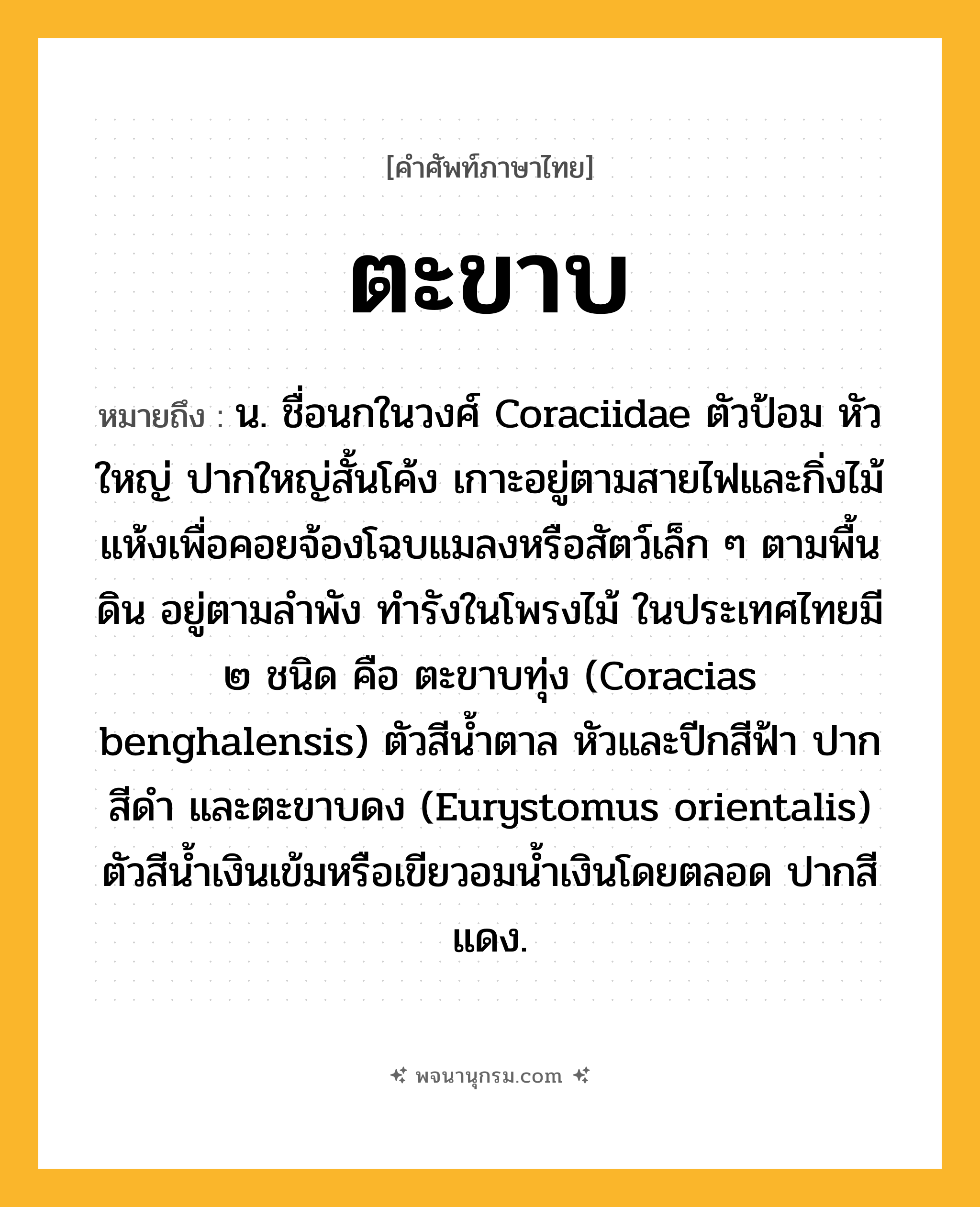 ตะขาบ ความหมาย หมายถึงอะไร?, คำในภาษาไทย ตะขาบ หมายถึง น. ชื่อนกในวงศ์ Coraciidae ตัวป้อม หัวใหญ่ ปากใหญ่สั้นโค้ง เกาะอยู่ตามสายไฟและกิ่งไม้แห้งเพื่อคอยจ้องโฉบแมลงหรือสัตว์เล็ก ๆ ตามพื้นดิน อยู่ตามลําพัง ทํารังในโพรงไม้ ในประเทศไทยมี ๒ ชนิด คือ ตะขาบทุ่ง (Coracias benghalensis) ตัวสีนํ้าตาล หัวและปีกสีฟ้า ปากสีดํา และตะขาบดง (Eurystomus orientalis) ตัวสีนํ้าเงินเข้มหรือเขียวอมน้ำเงินโดยตลอด ปากสีแดง.