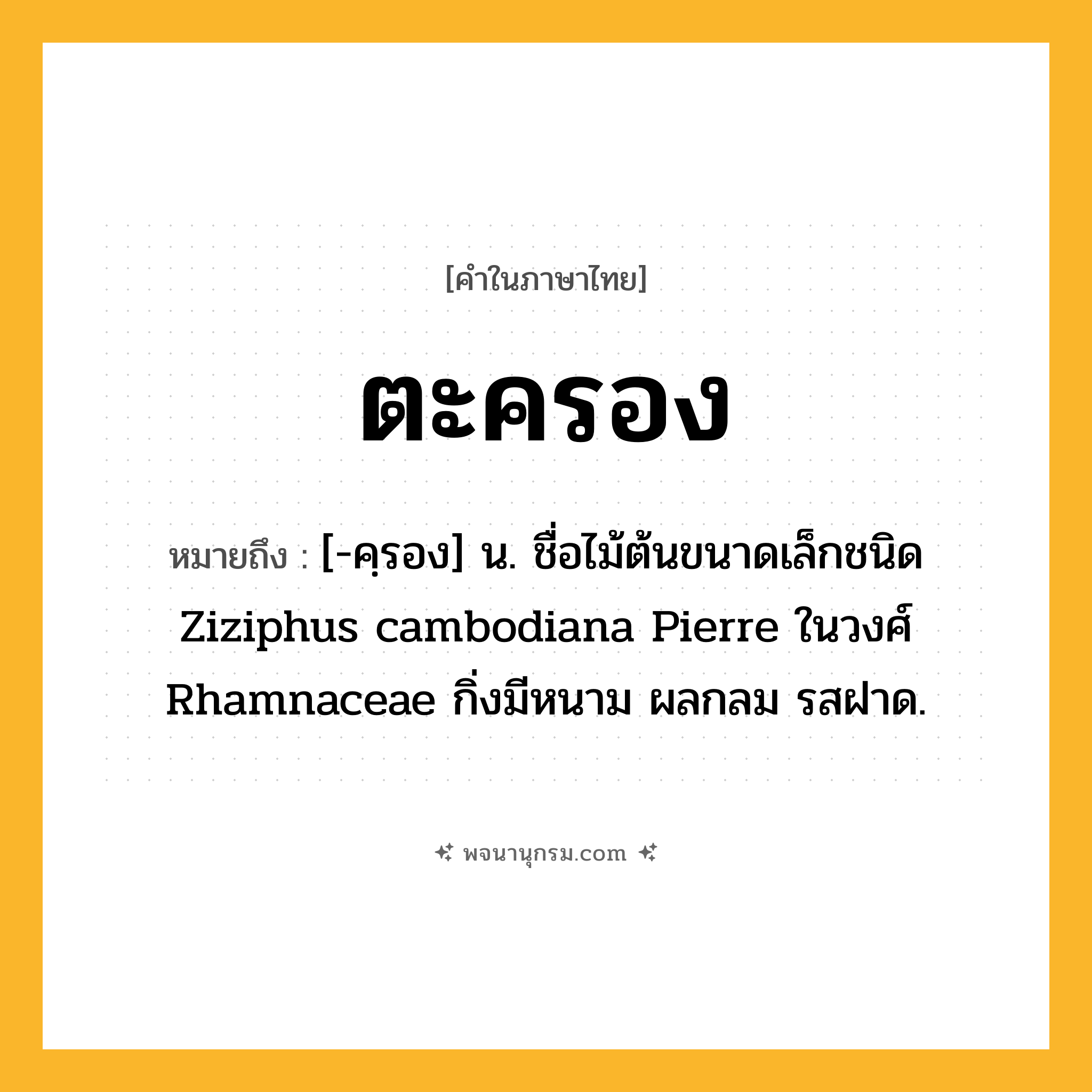 ตะครอง ความหมาย หมายถึงอะไร?, คำในภาษาไทย ตะครอง หมายถึง [-คฺรอง] น. ชื่อไม้ต้นขนาดเล็กชนิด Ziziphus cambodiana Pierre ในวงศ์ Rhamnaceae กิ่งมีหนาม ผลกลม รสฝาด.