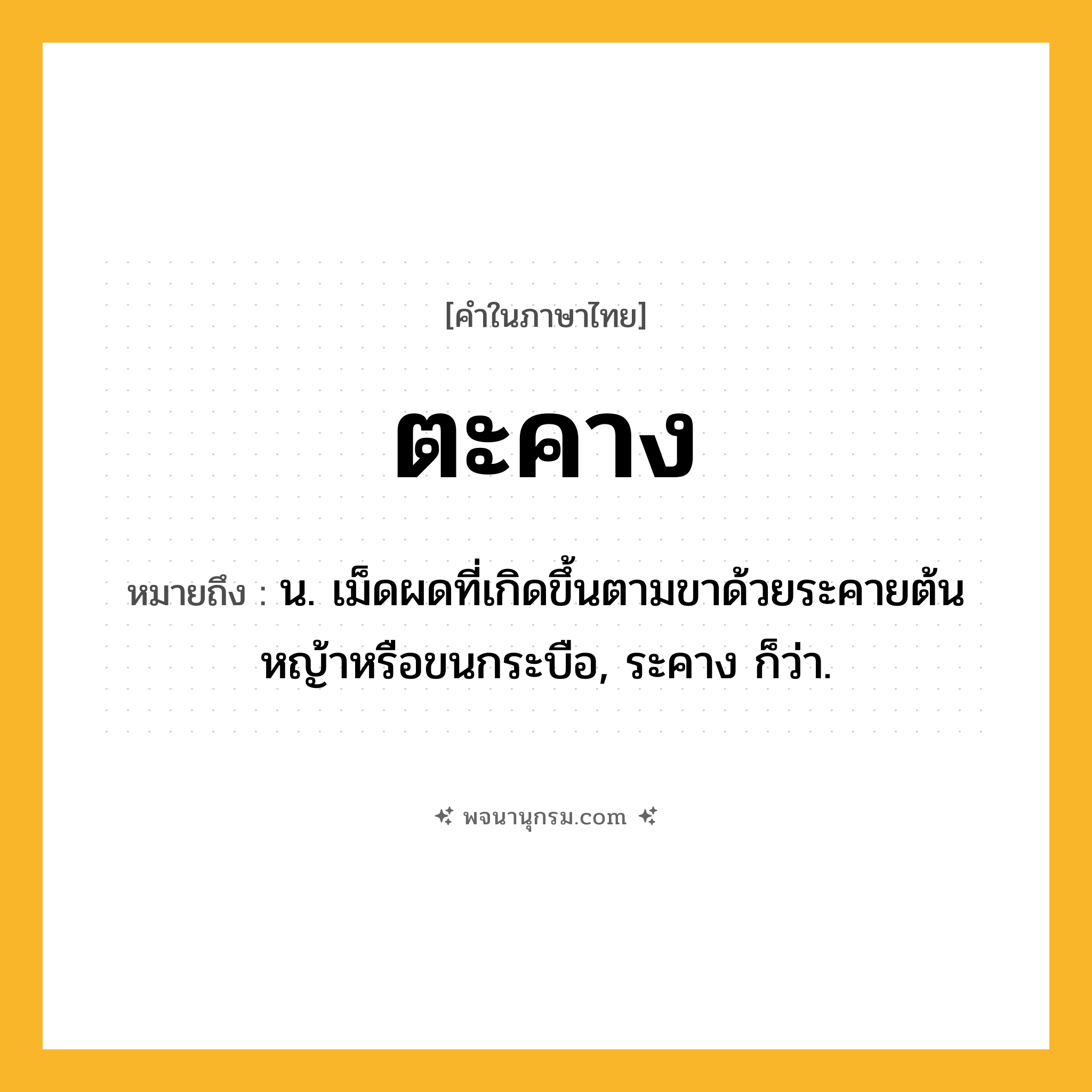 ตะคาง ความหมาย หมายถึงอะไร?, คำในภาษาไทย ตะคาง หมายถึง น. เม็ดผดที่เกิดขึ้นตามขาด้วยระคายต้นหญ้าหรือขนกระบือ, ระคาง ก็ว่า.
