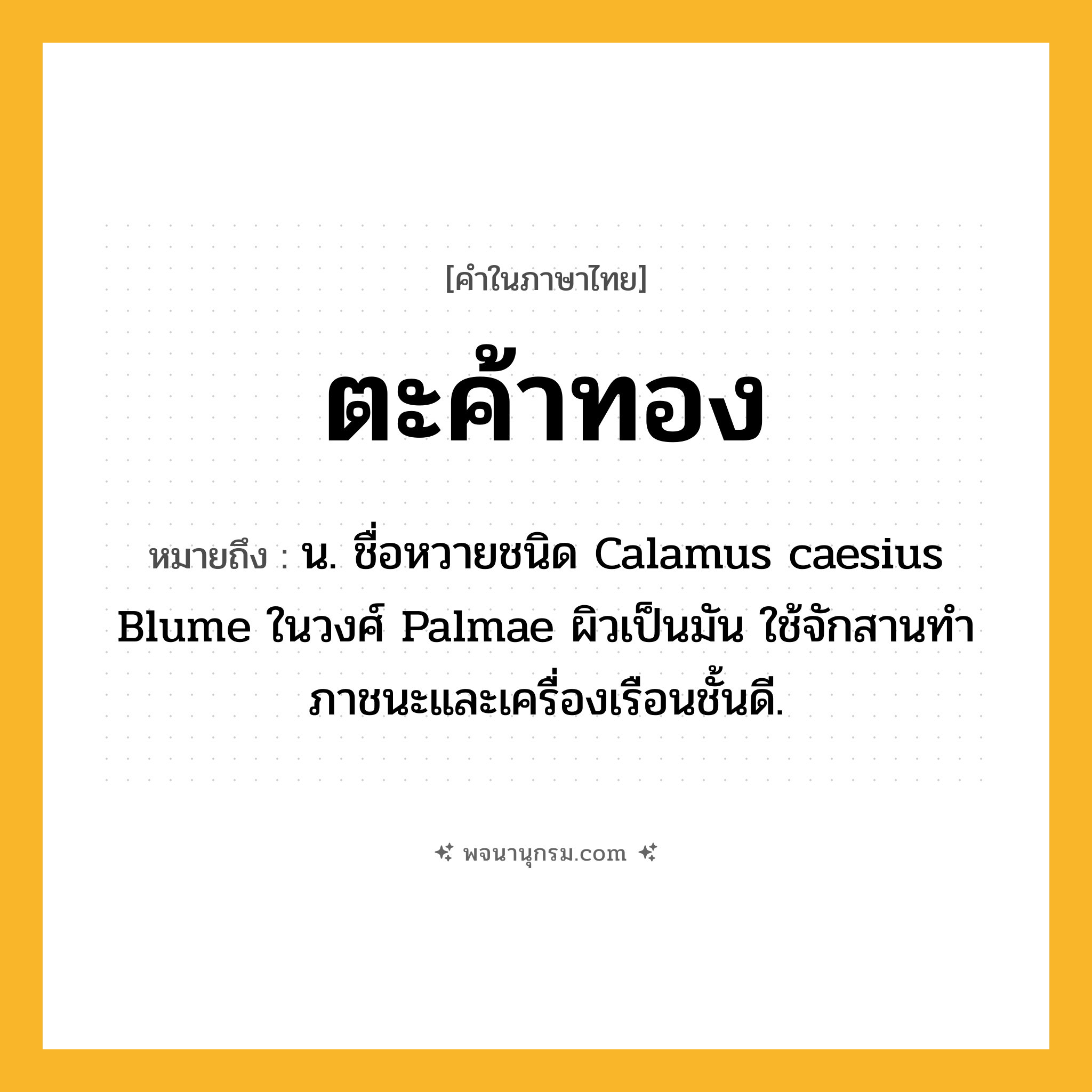 ตะค้าทอง ความหมาย หมายถึงอะไร?, คำในภาษาไทย ตะค้าทอง หมายถึง น. ชื่อหวายชนิด Calamus caesius Blume ในวงศ์ Palmae ผิวเป็นมัน ใช้จักสานทําภาชนะและเครื่องเรือนชั้นดี.