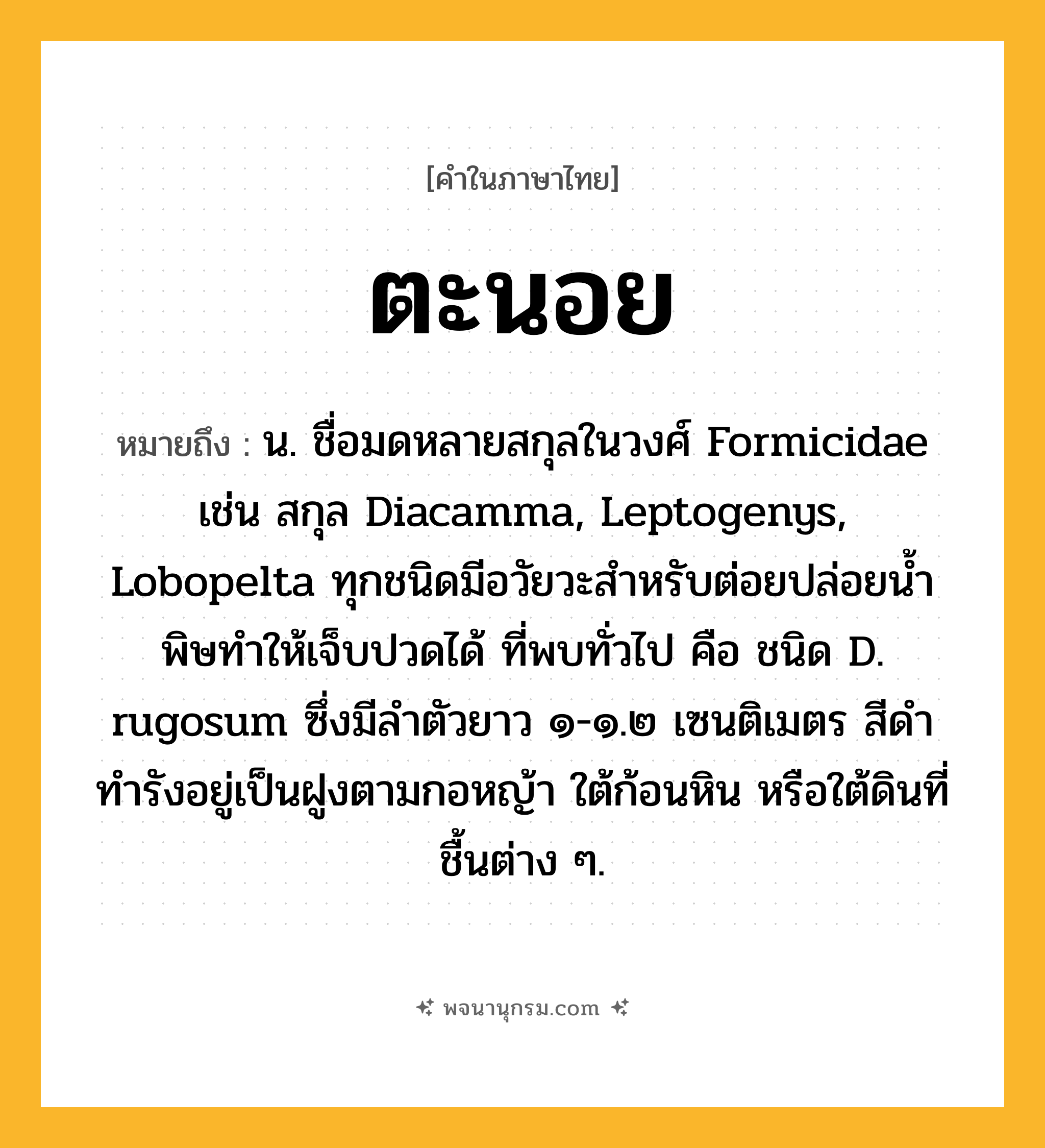 ตะนอย ความหมาย หมายถึงอะไร?, คำในภาษาไทย ตะนอย หมายถึง น. ชื่อมดหลายสกุลในวงศ์ Formicidae เช่น สกุล Diacamma, Leptogenys, Lobopelta ทุกชนิดมีอวัยวะสําหรับต่อยปล่อยนํ้าพิษทําให้เจ็บปวดได้ ที่พบทั่วไป คือ ชนิด D. rugosum ซึ่งมีลําตัวยาว ๑-๑.๒ เซนติเมตร สีดํา ทํารังอยู่เป็นฝูงตามกอหญ้า ใต้ก้อนหิน หรือใต้ดินที่ชื้นต่าง ๆ.