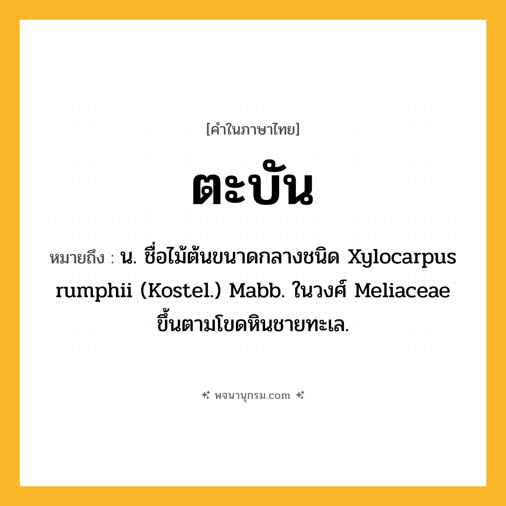 ตะบัน ความหมาย หมายถึงอะไร?, คำในภาษาไทย ตะบัน หมายถึง น. ชื่อไม้ต้นขนาดกลางชนิด Xylocarpus rumphii (Kostel.) Mabb. ในวงศ์ Meliaceae ขึ้นตามโขดหินชายทะเล.