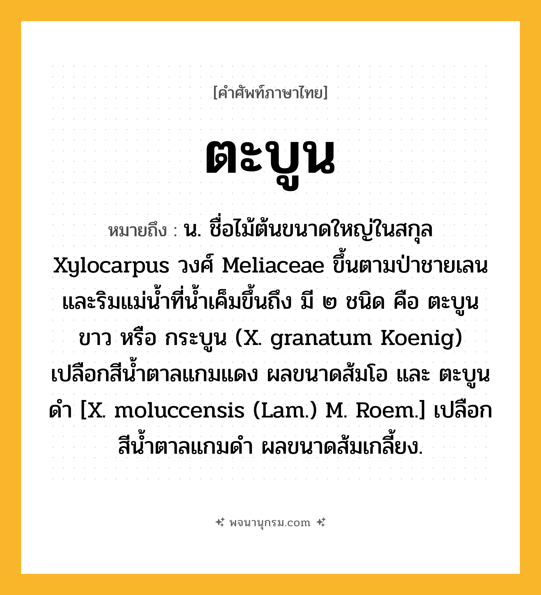 ตะบูน ความหมาย หมายถึงอะไร?, คำในภาษาไทย ตะบูน หมายถึง น. ชื่อไม้ต้นขนาดใหญ่ในสกุล Xylocarpus วงศ์ Meliaceae ขึ้นตามป่าชายเลนและริมแม่นํ้าที่นํ้าเค็มขึ้นถึง มี ๒ ชนิด คือ ตะบูนขาว หรือ กระบูน (X. granatum Koenig) เปลือกสีนํ้าตาลแกมแดง ผลขนาดส้มโอ และ ตะบูนดํา [X. moluccensis (Lam.) M. Roem.] เปลือกสีนํ้าตาลแกมดํา ผลขนาดส้มเกลี้ยง.