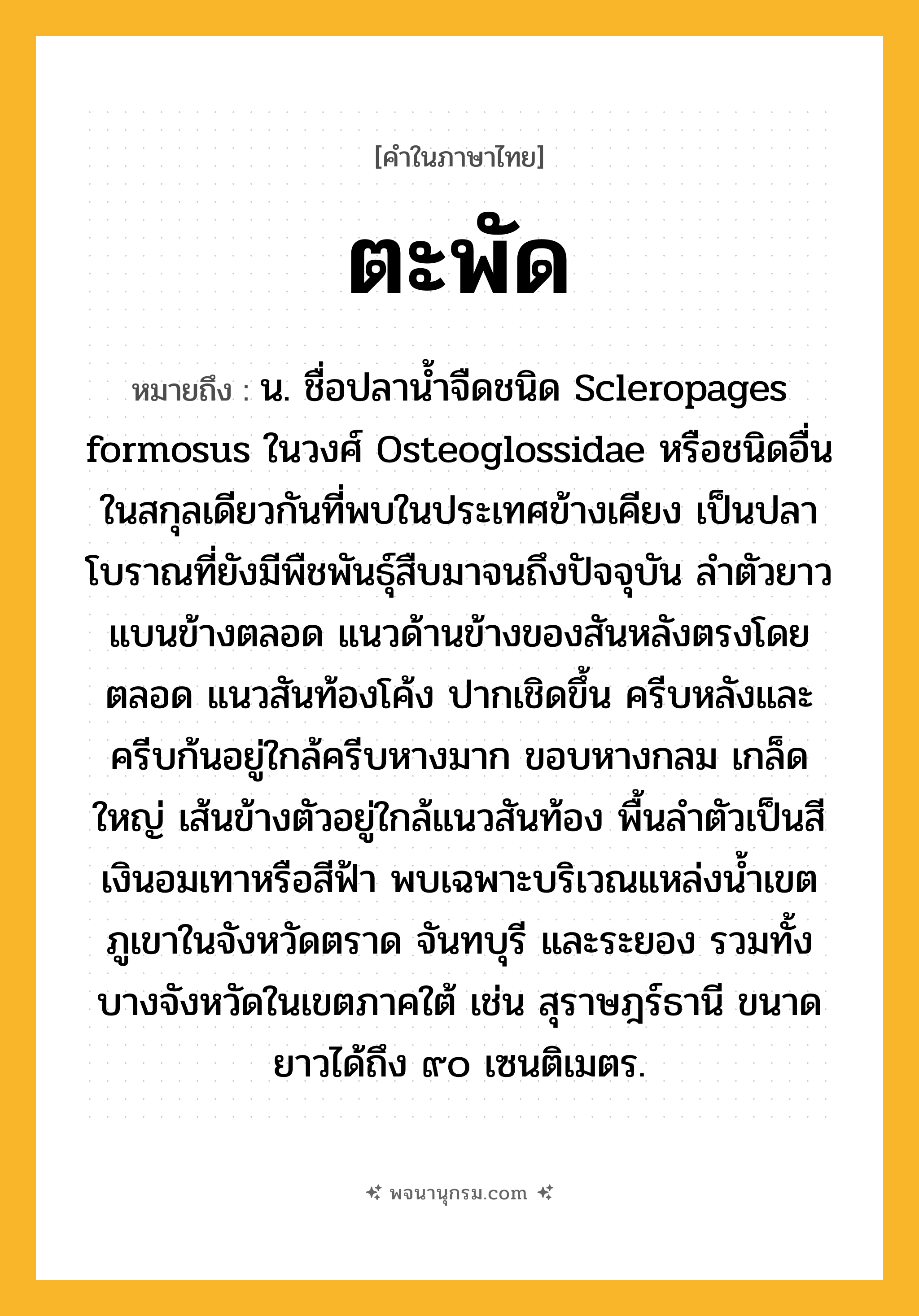 ตะพัด ความหมาย หมายถึงอะไร?, คำในภาษาไทย ตะพัด หมายถึง น. ชื่อปลานํ้าจืดชนิด Scleropages formosus ในวงศ์ Osteoglossidae หรือชนิดอื่นในสกุลเดียวกันที่พบในประเทศข้างเคียง เป็นปลาโบราณที่ยังมีพืชพันธุ์สืบมาจนถึงปัจจุบัน ลําตัวยาว แบนข้างตลอด แนวด้านข้างของสันหลังตรงโดยตลอด แนวสันท้องโค้ง ปากเชิดขึ้น ครีบหลังและครีบก้นอยู่ใกล้ครีบหางมาก ขอบหางกลม เกล็ดใหญ่ เส้นข้างตัวอยู่ใกล้แนวสันท้อง พื้นลําตัวเป็นสีเงินอมเทาหรือสีฟ้า พบเฉพาะบริเวณแหล่งนํ้าเขตภูเขาในจังหวัดตราด จันทบุรี และระยอง รวมทั้งบางจังหวัดในเขตภาคใต้ เช่น สุราษฎร์ธานี ขนาดยาวได้ถึง ๙๐ เซนติเมตร.
