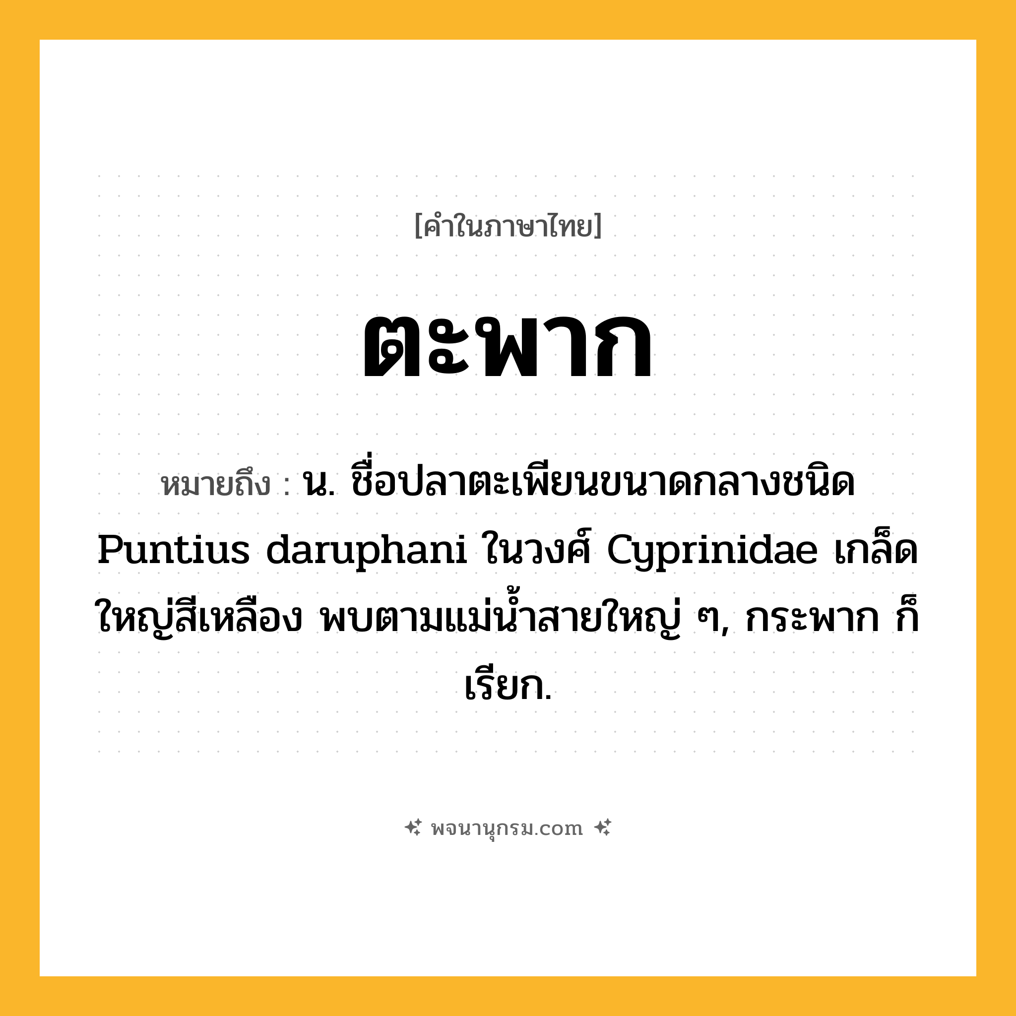 ตะพาก ความหมาย หมายถึงอะไร?, คำในภาษาไทย ตะพาก หมายถึง น. ชื่อปลาตะเพียนขนาดกลางชนิด Puntius daruphani ในวงศ์ Cyprinidae เกล็ดใหญ่สีเหลือง พบตามแม่นํ้าสายใหญ่ ๆ, กระพาก ก็เรียก.