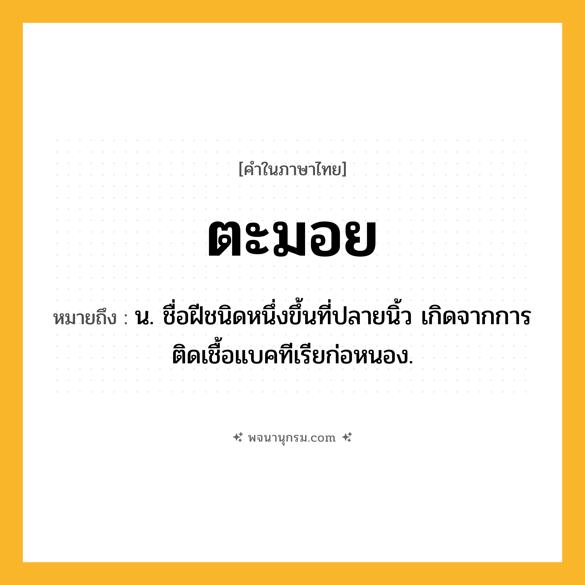 ตะมอย ความหมาย หมายถึงอะไร?, คำในภาษาไทย ตะมอย หมายถึง น. ชื่อฝีชนิดหนึ่งขึ้นที่ปลายนิ้ว เกิดจากการติดเชื้อแบคทีเรียก่อหนอง.