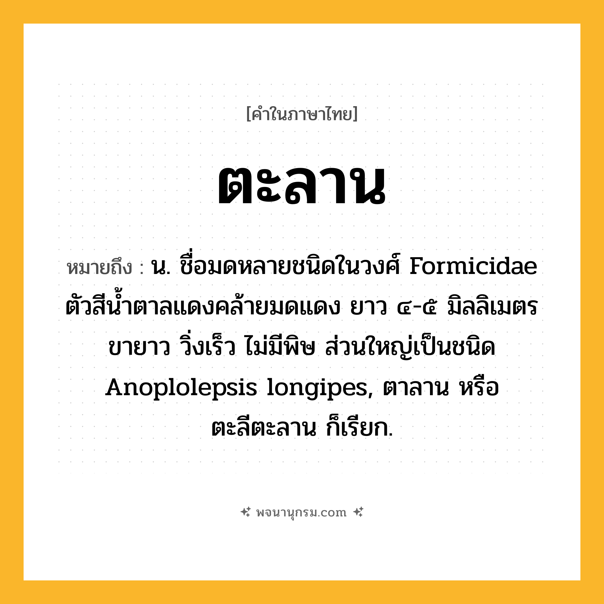 ตะลาน ความหมาย หมายถึงอะไร?, คำในภาษาไทย ตะลาน หมายถึง น. ชื่อมดหลายชนิดในวงศ์ Formicidae ตัวสีนํ้าตาลแดงคล้ายมดแดง ยาว ๔-๕ มิลลิเมตร ขายาว วิ่งเร็ว ไม่มีพิษ ส่วนใหญ่เป็นชนิด Anoplolepsis longipes, ตาลาน หรือ ตะลีตะลาน ก็เรียก.