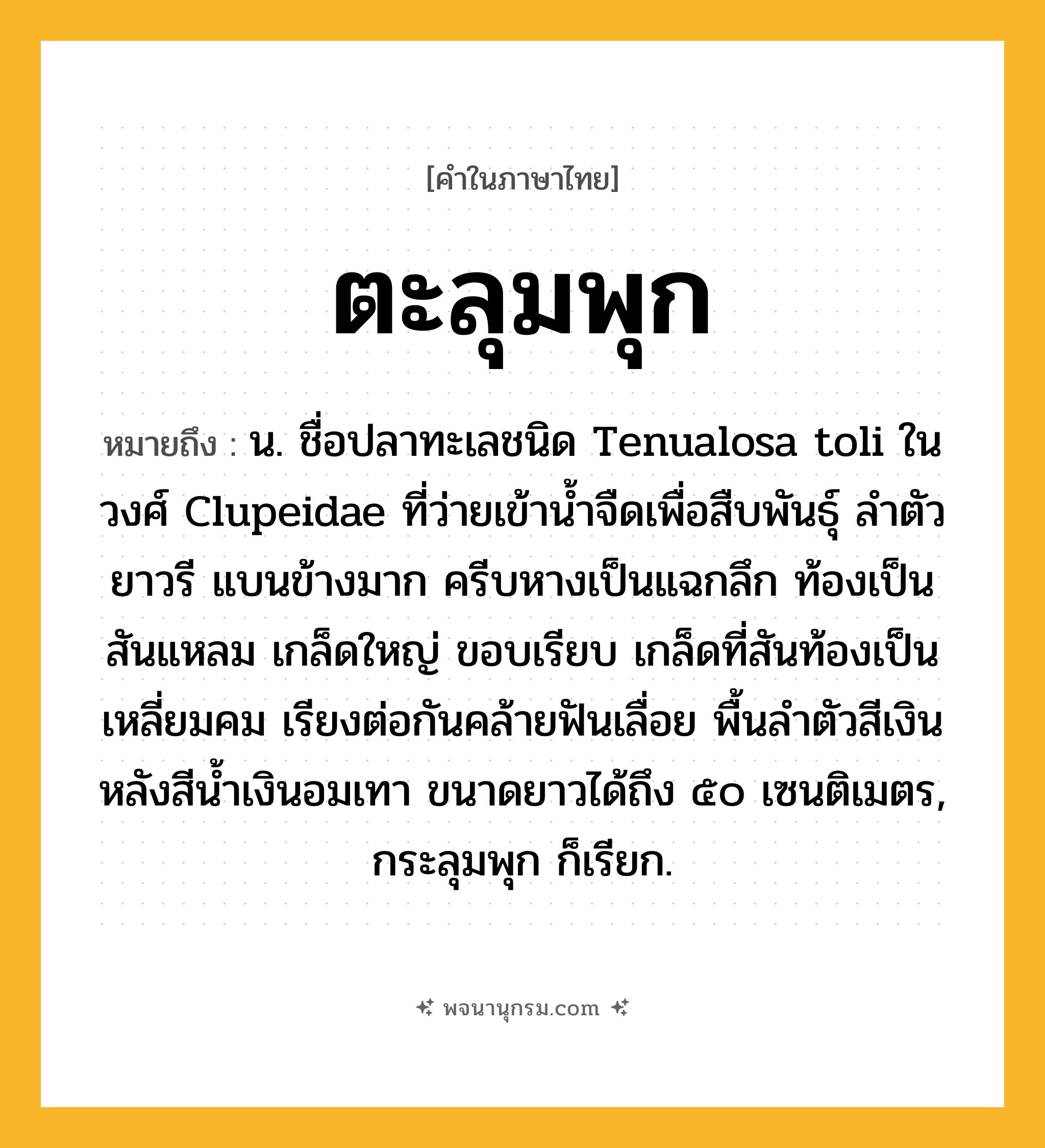 ตะลุมพุก ความหมาย หมายถึงอะไร?, คำในภาษาไทย ตะลุมพุก หมายถึง น. ชื่อปลาทะเลชนิด Tenualosa toli ในวงศ์ Clupeidae ที่ว่ายเข้านํ้าจืดเพื่อสืบพันธุ์ ลําตัวยาวรี แบนข้างมาก ครีบหางเป็นแฉกลึก ท้องเป็นสันแหลม เกล็ดใหญ่ ขอบเรียบ เกล็ดที่สันท้องเป็นเหลี่ยมคม เรียงต่อกันคล้ายฟันเลื่อย พื้นลําตัวสีเงิน หลังสีนํ้าเงินอมเทา ขนาดยาวได้ถึง ๕๐ เซนติเมตร, กระลุมพุก ก็เรียก.