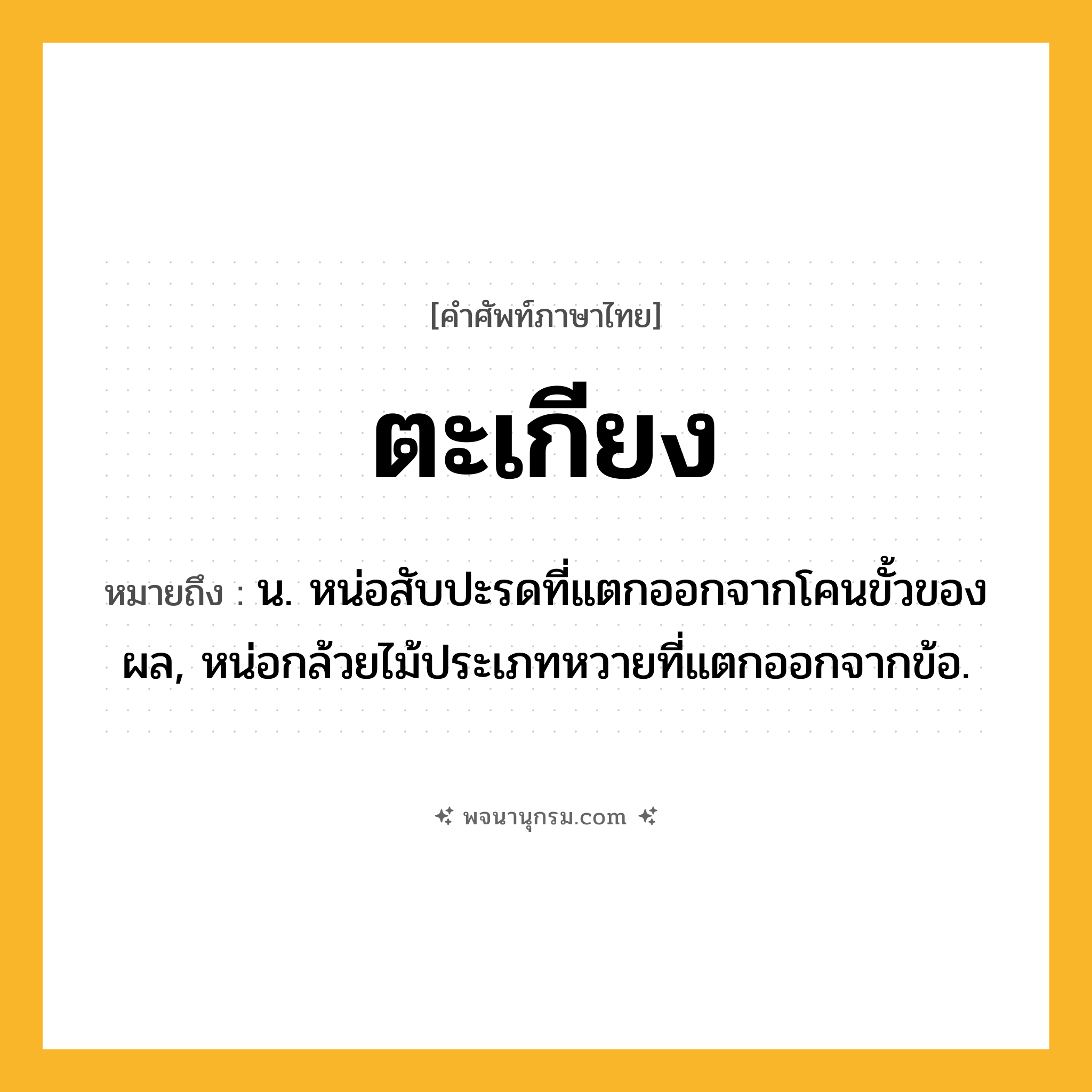 ตะเกียง ความหมาย หมายถึงอะไร?, คำในภาษาไทย ตะเกียง หมายถึง น. หน่อสับปะรดที่แตกออกจากโคนขั้วของผล, หน่อกล้วยไม้ประเภทหวายที่แตกออกจากข้อ.