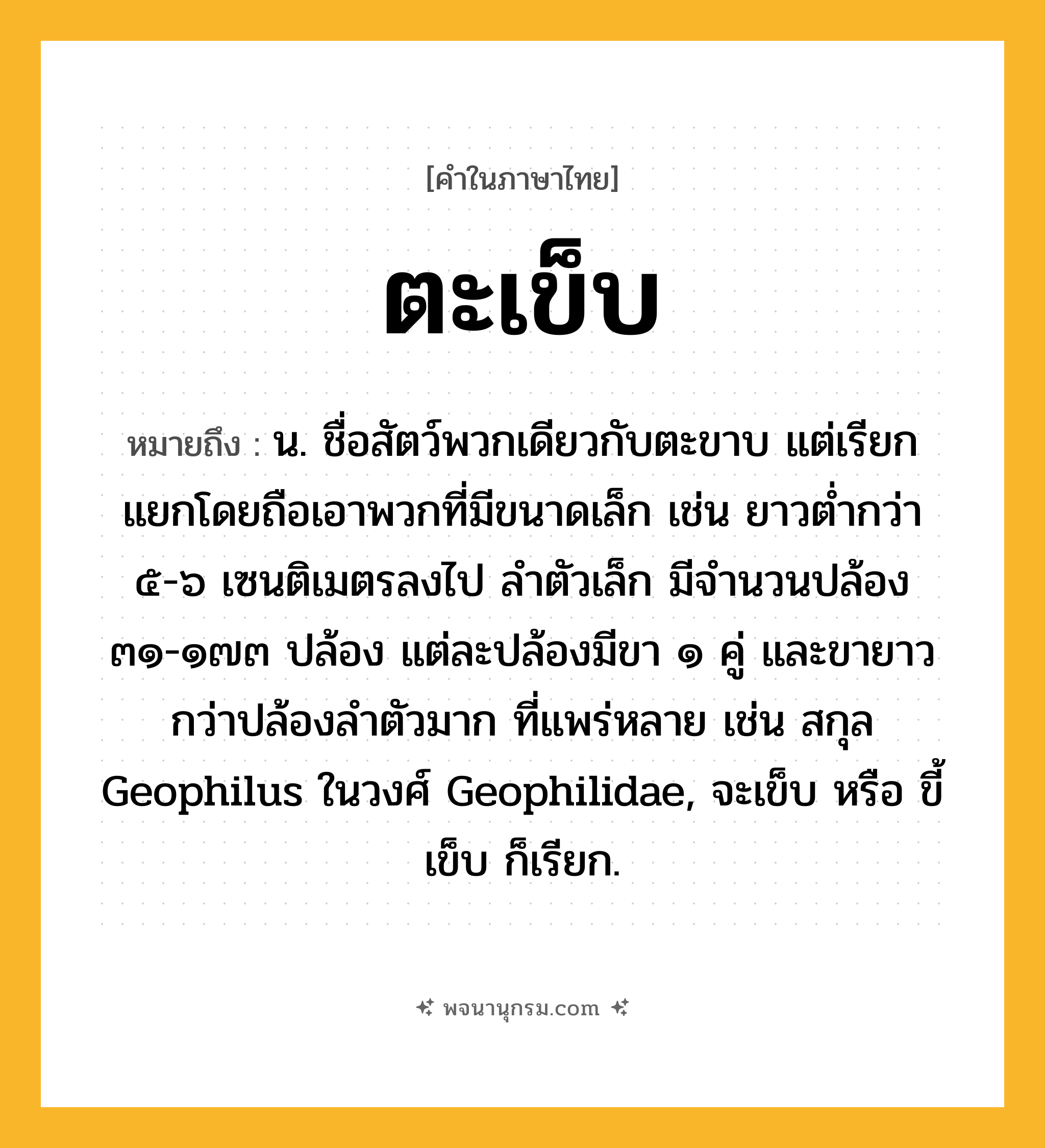 ตะเข็บ ความหมาย หมายถึงอะไร?, คำในภาษาไทย ตะเข็บ หมายถึง น. ชื่อสัตว์พวกเดียวกับตะขาบ แต่เรียกแยกโดยถือเอาพวกที่มีขนาดเล็ก เช่น ยาวตํ่ากว่า ๕-๖ เซนติเมตรลงไป ลําตัวเล็ก มีจำนวนปล้อง ๓๑-๑๗๓ ปล้อง แต่ละปล้องมีขา ๑ คู่ และขายาวกว่าปล้องลําตัวมาก ที่แพร่หลาย เช่น สกุล Geophilus ในวงศ์ Geophilidae, จะเข็บ หรือ ขี้เข็บ ก็เรียก.