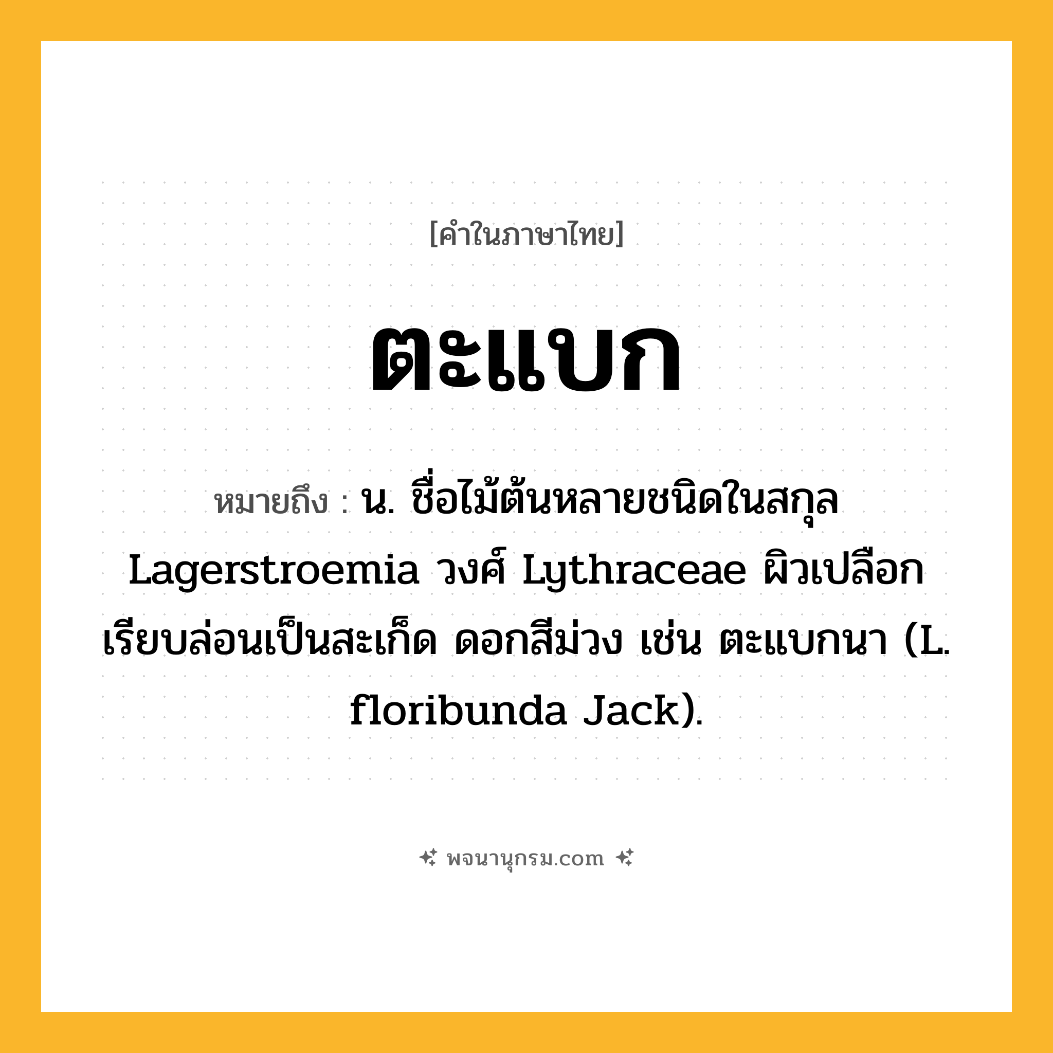 ตะแบก ความหมาย หมายถึงอะไร?, คำในภาษาไทย ตะแบก หมายถึง น. ชื่อไม้ต้นหลายชนิดในสกุล Lagerstroemia วงศ์ Lythraceae ผิวเปลือกเรียบล่อนเป็นสะเก็ด ดอกสีม่วง เช่น ตะแบกนา (L. floribunda Jack).