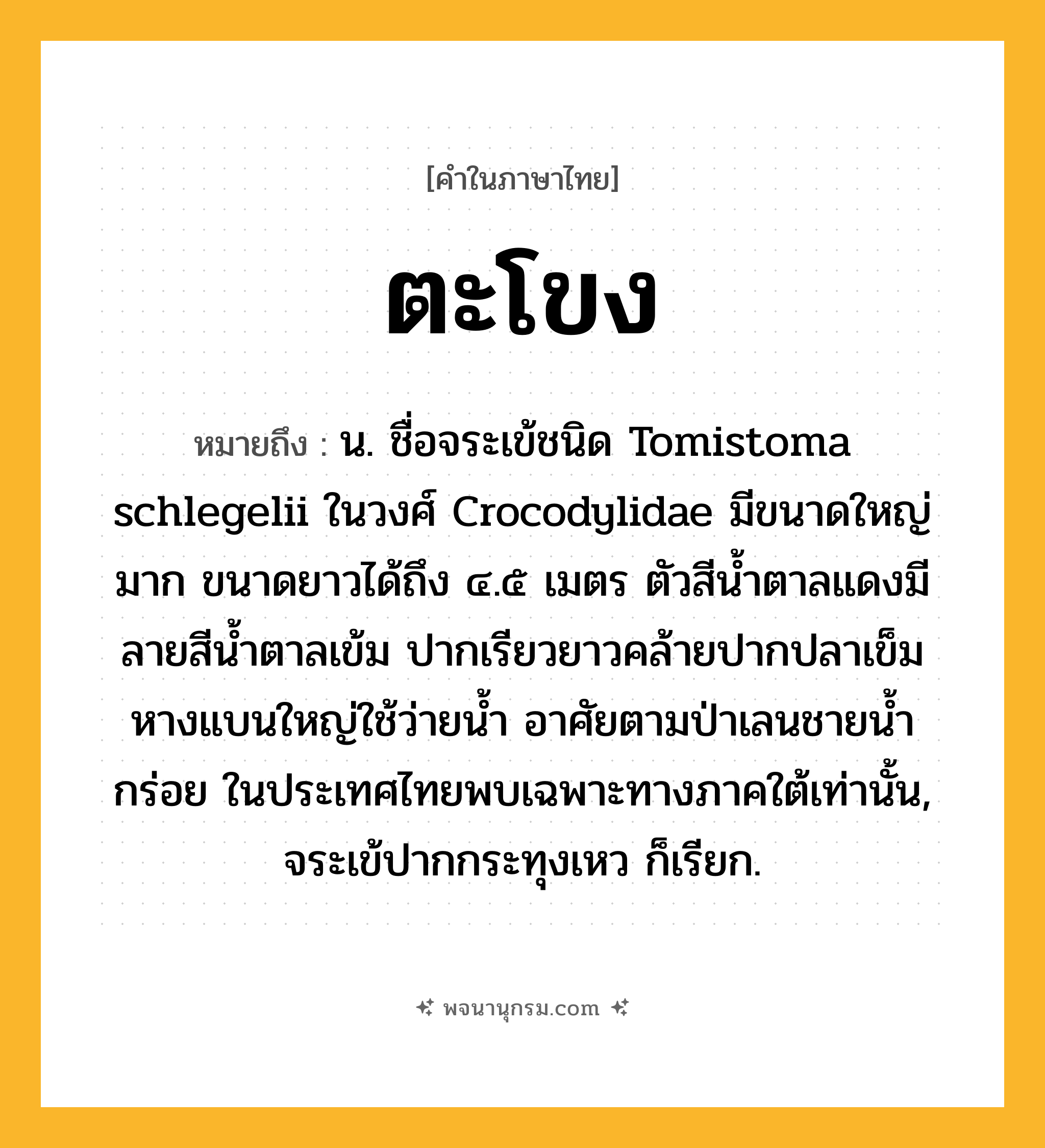 ตะโขง ความหมาย หมายถึงอะไร?, คำในภาษาไทย ตะโขง หมายถึง น. ชื่อจระเข้ชนิด Tomistoma schlegelii ในวงศ์ Crocodylidae มีขนาดใหญ่มาก ขนาดยาวได้ถึง ๔.๕ เมตร ตัวสีนํ้าตาลแดงมีลายสีนํ้าตาลเข้ม ปากเรียวยาวคล้ายปากปลาเข็ม หางแบนใหญ่ใช้ว่ายนํ้า อาศัยตามป่าเลนชายนํ้ากร่อย ในประเทศไทยพบเฉพาะทางภาคใต้เท่านั้น, จระเข้ปากกระทุงเหว ก็เรียก.