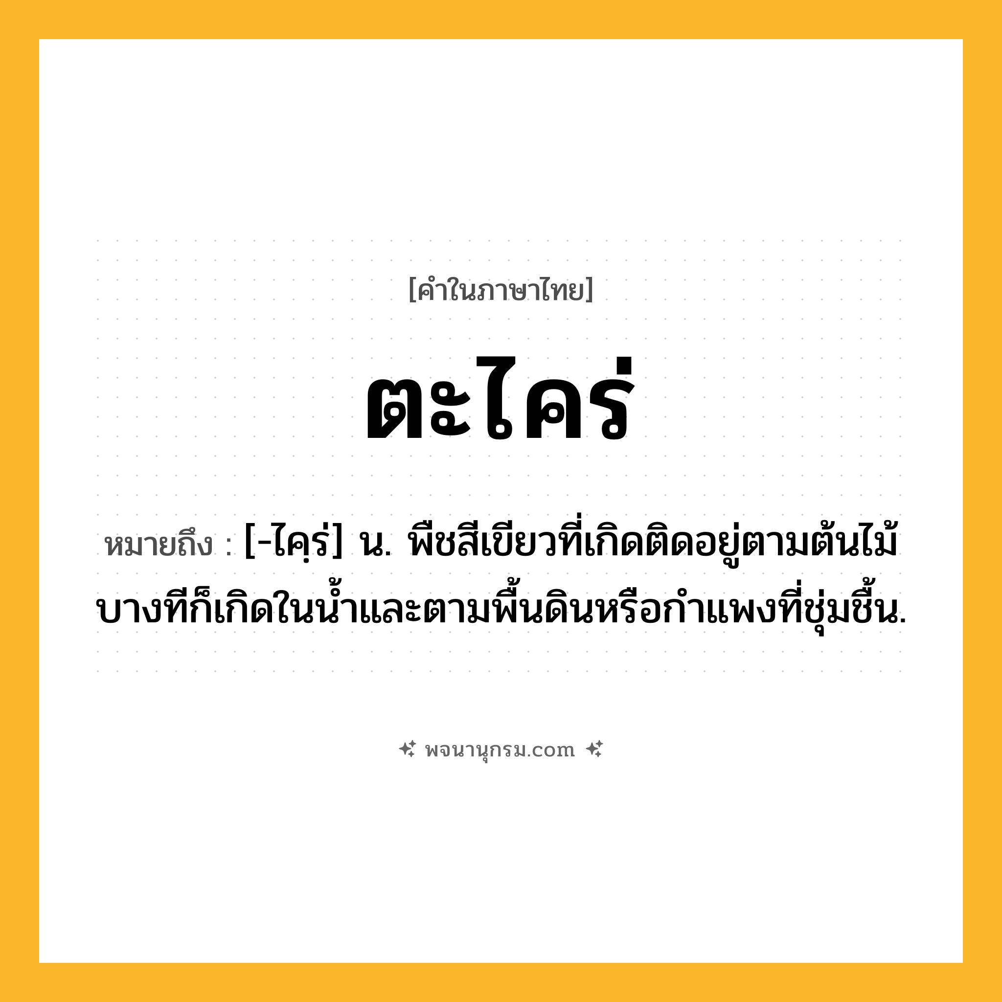 ตะไคร่ ความหมาย หมายถึงอะไร?, คำในภาษาไทย ตะไคร่ หมายถึง [-ไคฺร่] น. พืชสีเขียวที่เกิดติดอยู่ตามต้นไม้ บางทีก็เกิดในนํ้าและตามพื้นดินหรือกําแพงที่ชุ่มชื้น.