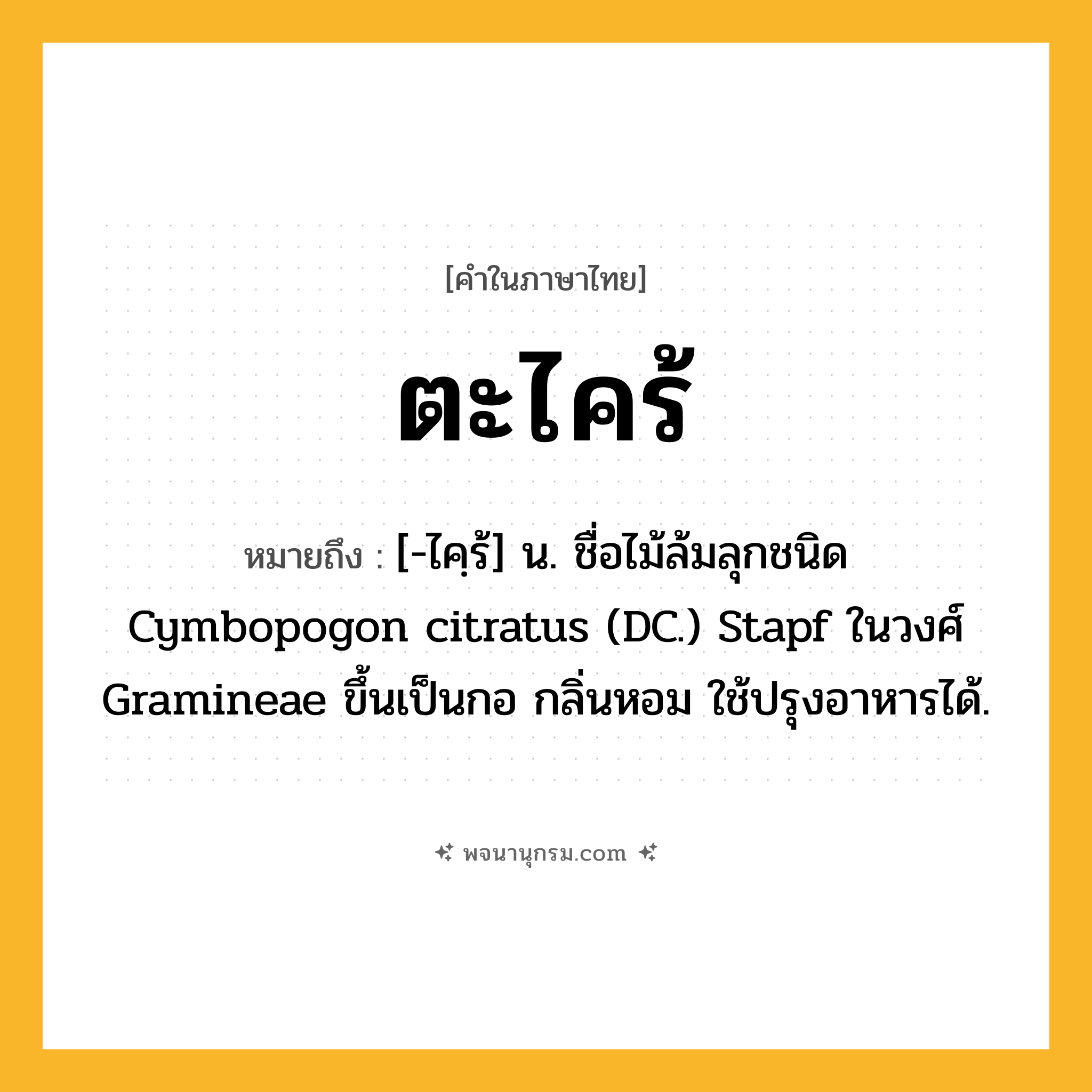 ตะไคร้ ความหมาย หมายถึงอะไร?, คำในภาษาไทย ตะไคร้ หมายถึง [-ไคฺร้] น. ชื่อไม้ล้มลุกชนิด Cymbopogon citratus (DC.) Stapf ในวงศ์ Gramineae ขึ้นเป็นกอ กลิ่นหอม ใช้ปรุงอาหารได้.