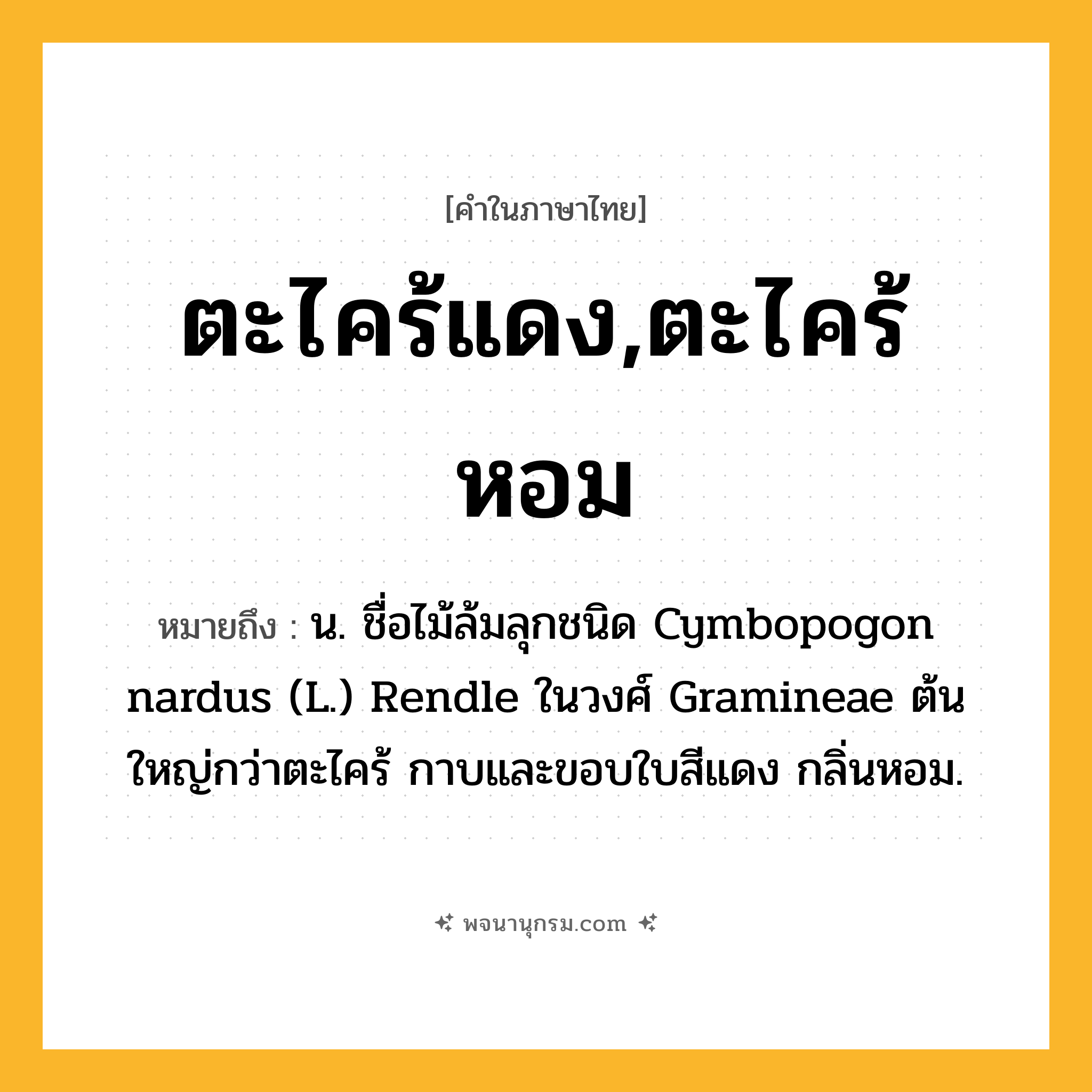 ตะไคร้แดง,ตะไคร้หอม ความหมาย หมายถึงอะไร?, คำในภาษาไทย ตะไคร้แดง,ตะไคร้หอม หมายถึง น. ชื่อไม้ล้มลุกชนิด Cymbopogon nardus (L.) Rendle ในวงศ์ Gramineae ต้นใหญ่กว่าตะไคร้ กาบและขอบใบสีแดง กลิ่นหอม.