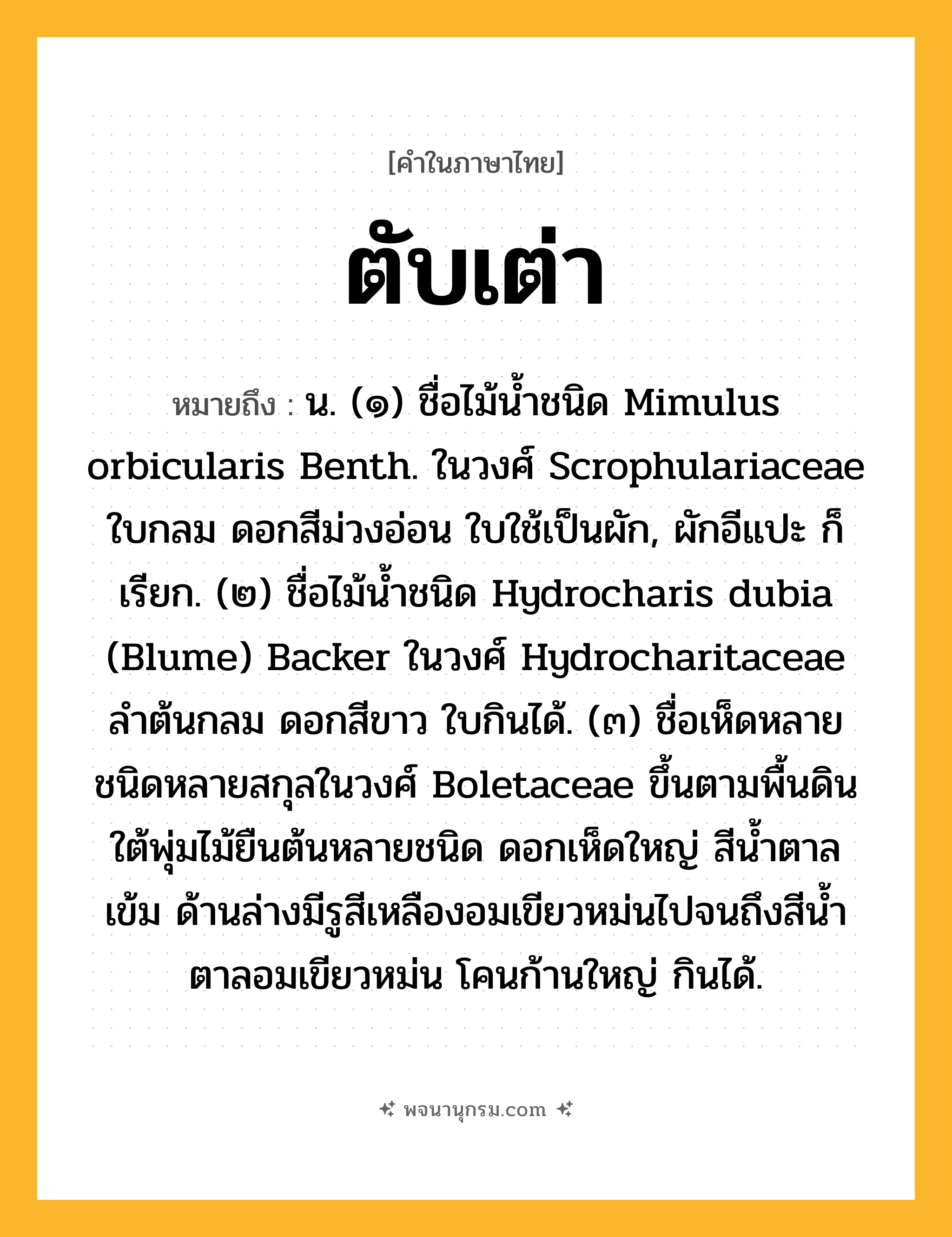 ตับเต่า ความหมาย หมายถึงอะไร?, คำในภาษาไทย ตับเต่า หมายถึง น. (๑) ชื่อไม้นํ้าชนิด Mimulus orbicularis Benth. ในวงศ์ Scrophulariaceae ใบกลม ดอกสีม่วงอ่อน ใบใช้เป็นผัก, ผักอีแปะ ก็เรียก. (๒) ชื่อไม้นํ้าชนิด Hydrocharis dubia (Blume) Backer ในวงศ์ Hydrocharitaceae ลําต้นกลม ดอกสีขาว ใบกินได้. (๓) ชื่อเห็ดหลายชนิดหลายสกุลในวงศ์ Boletaceae ขึ้นตามพื้นดินใต้พุ่มไม้ยืนต้นหลายชนิด ดอกเห็ดใหญ่ สีนํ้าตาลเข้ม ด้านล่างมีรูสีเหลืองอมเขียวหม่นไปจนถึงสีนํ้าตาลอมเขียวหม่น โคนก้านใหญ่ กินได้.