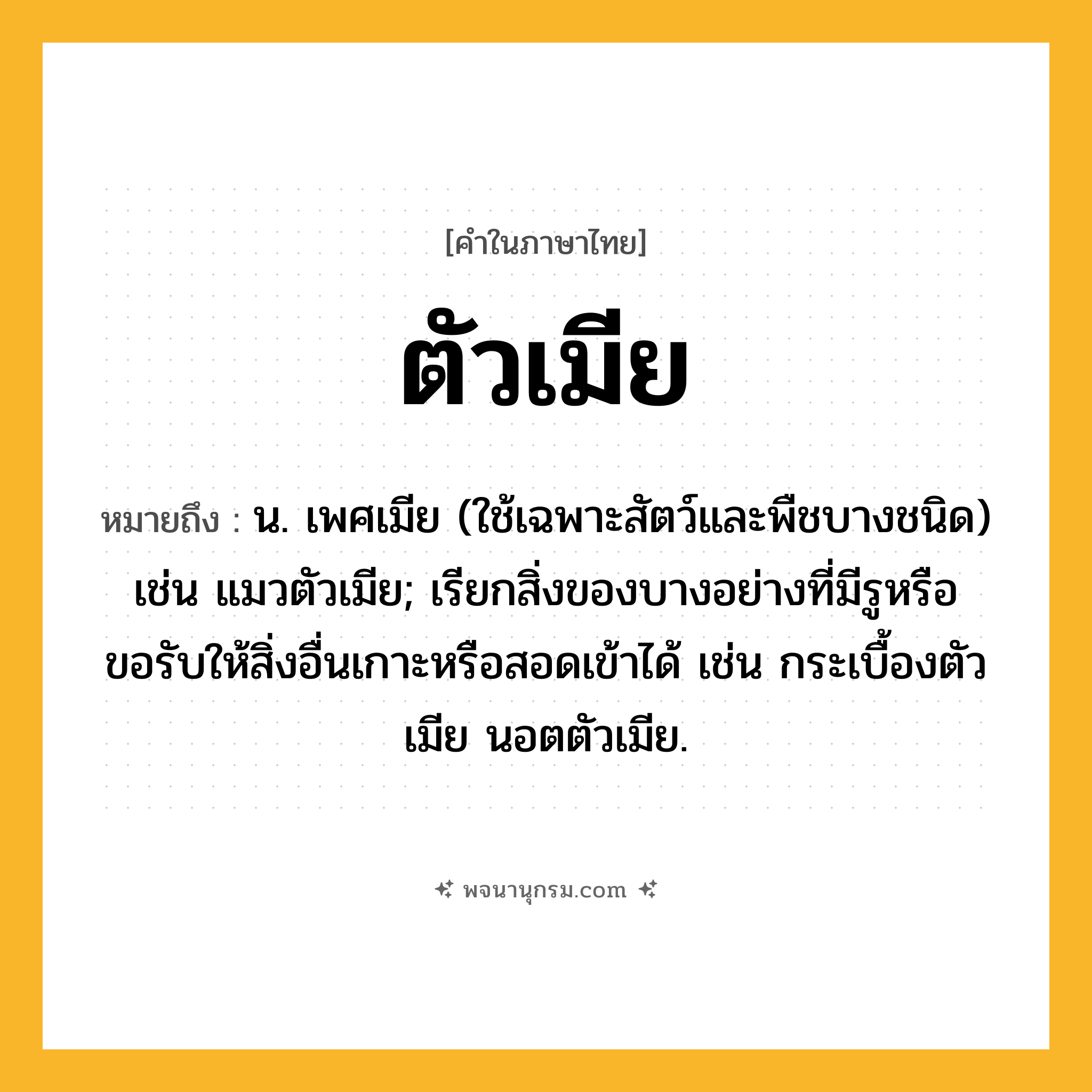 ตัวเมีย ความหมาย หมายถึงอะไร?, คำในภาษาไทย ตัวเมีย หมายถึง น. เพศเมีย (ใช้เฉพาะสัตว์และพืชบางชนิด) เช่น แมวตัวเมีย; เรียกสิ่งของบางอย่างที่มีรูหรือขอรับให้สิ่งอื่นเกาะหรือสอดเข้าได้ เช่น กระเบื้องตัวเมีย นอตตัวเมีย.