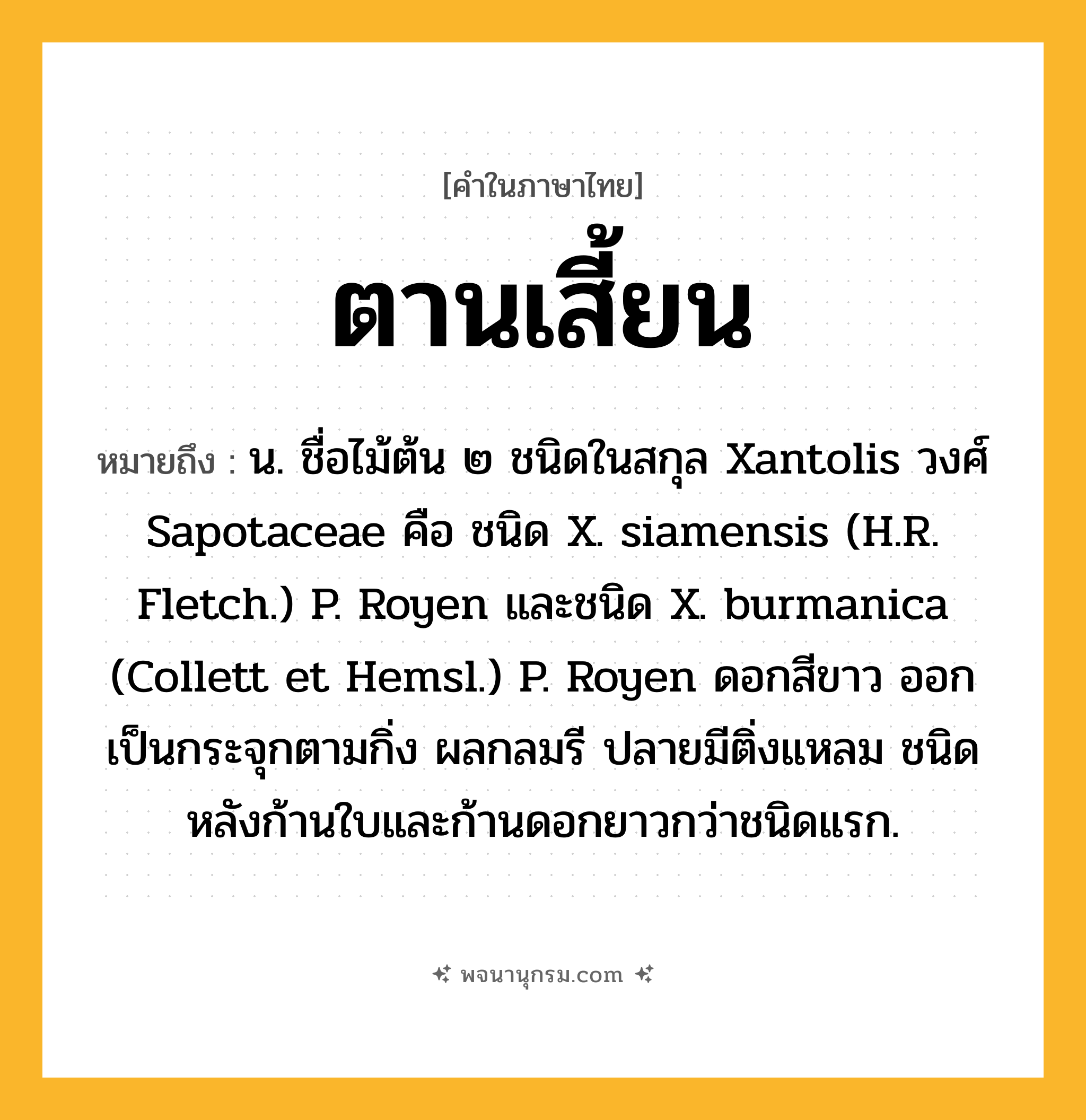ตานเสี้ยน ความหมาย หมายถึงอะไร?, คำในภาษาไทย ตานเสี้ยน หมายถึง น. ชื่อไม้ต้น ๒ ชนิดในสกุล Xantolis วงศ์ Sapotaceae คือ ชนิด X. siamensis (H.R. Fletch.) P. Royen และชนิด X. burmanica (Collett et Hemsl.) P. Royen ดอกสีขาว ออกเป็นกระจุกตามกิ่ง ผลกลมรี ปลายมีติ่งแหลม ชนิดหลังก้านใบและก้านดอกยาวกว่าชนิดแรก.
