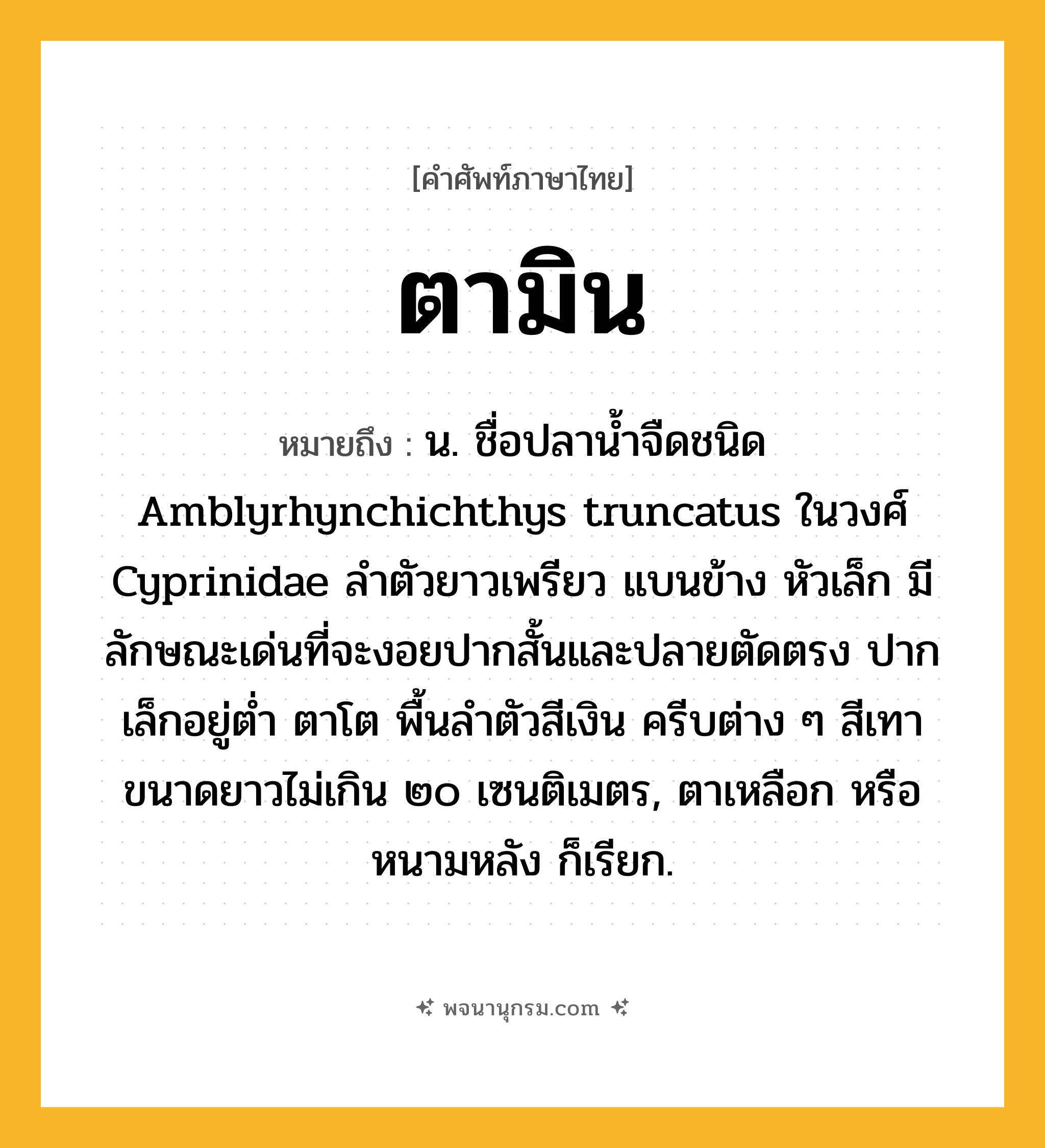 ตามิน ความหมาย หมายถึงอะไร?, คำในภาษาไทย ตามิน หมายถึง น. ชื่อปลานํ้าจืดชนิด Amblyrhynchichthys truncatus ในวงศ์ Cyprinidae ลําตัวยาวเพรียว แบนข้าง หัวเล็ก มีลักษณะเด่นที่จะงอยปากสั้นและปลายตัดตรง ปากเล็กอยู่ตํ่า ตาโต พื้นลําตัวสีเงิน ครีบต่าง ๆ สีเทา ขนาดยาวไม่เกิน ๒๐ เซนติเมตร, ตาเหลือก หรือ หนามหลัง ก็เรียก.