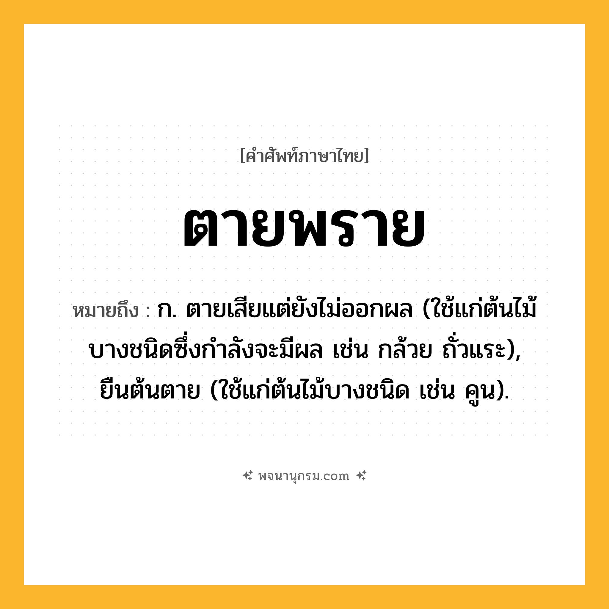 ตายพราย ความหมาย หมายถึงอะไร?, คำในภาษาไทย ตายพราย หมายถึง ก. ตายเสียแต่ยังไม่ออกผล (ใช้แก่ต้นไม้บางชนิดซึ่งกําลังจะมีผล เช่น กล้วย ถั่วแระ), ยืนต้นตาย (ใช้แก่ต้นไม้บางชนิด เช่น คูน).